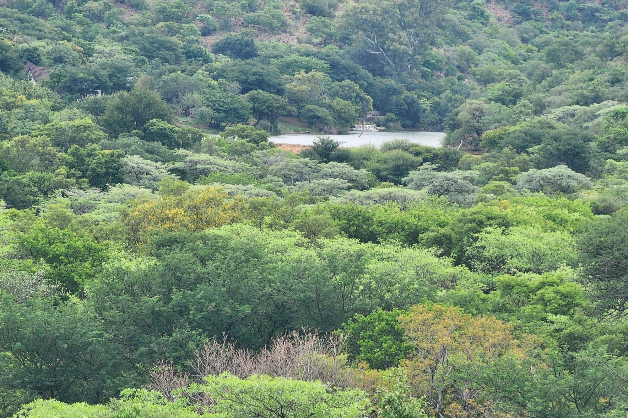 Intaba-Indle - South Africa - Six bedroom thatch lodge in private game reserve