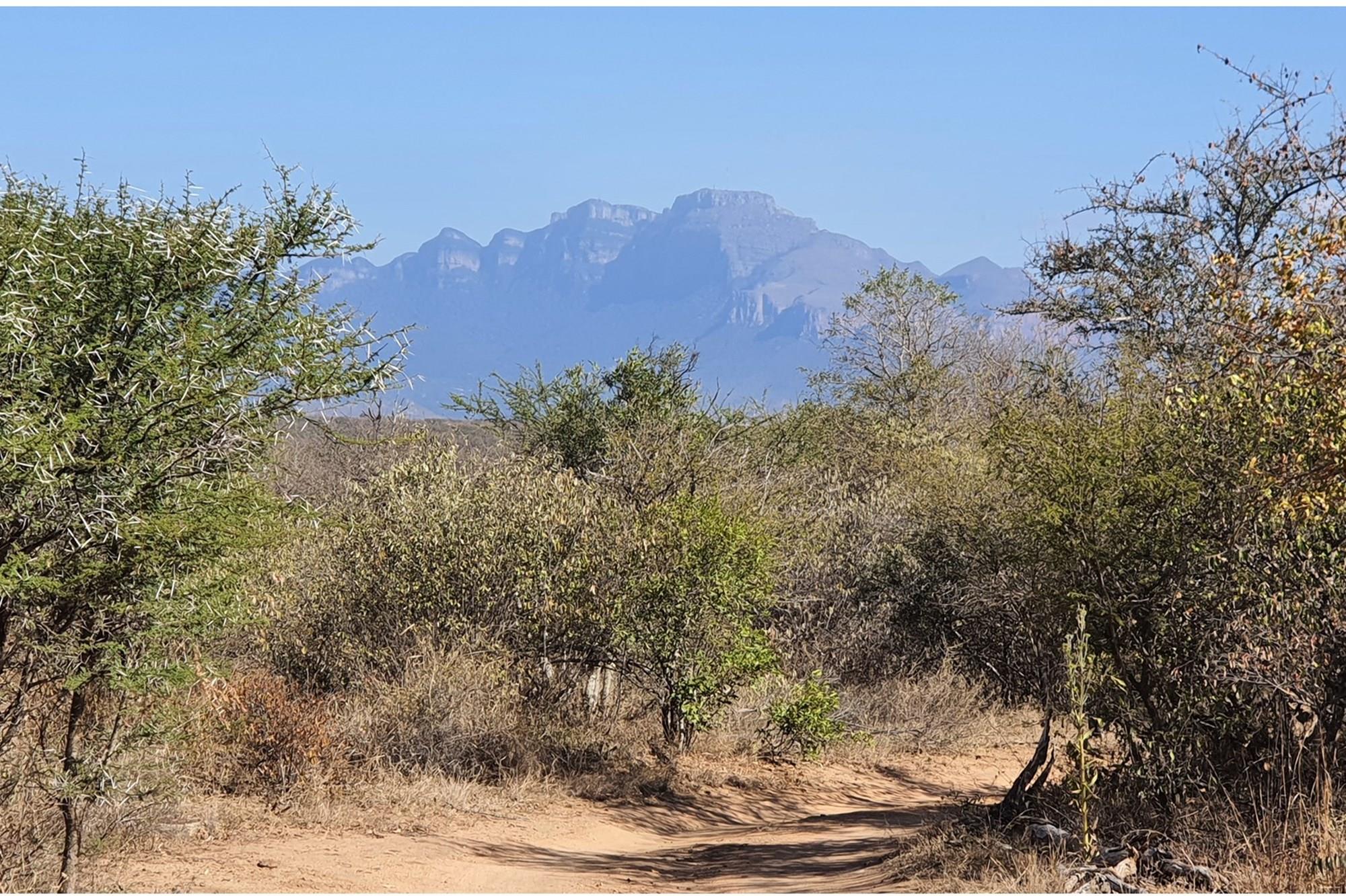 Corner stand available in Rapters View Wildlife Estate for plot and plan option