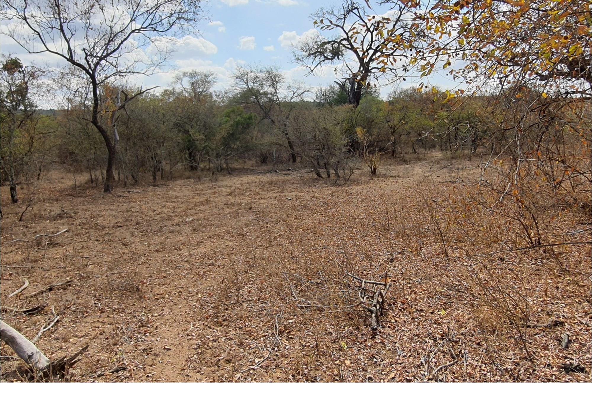 Corner stand available in Rapters View Wildlife Estate for plot and plan option