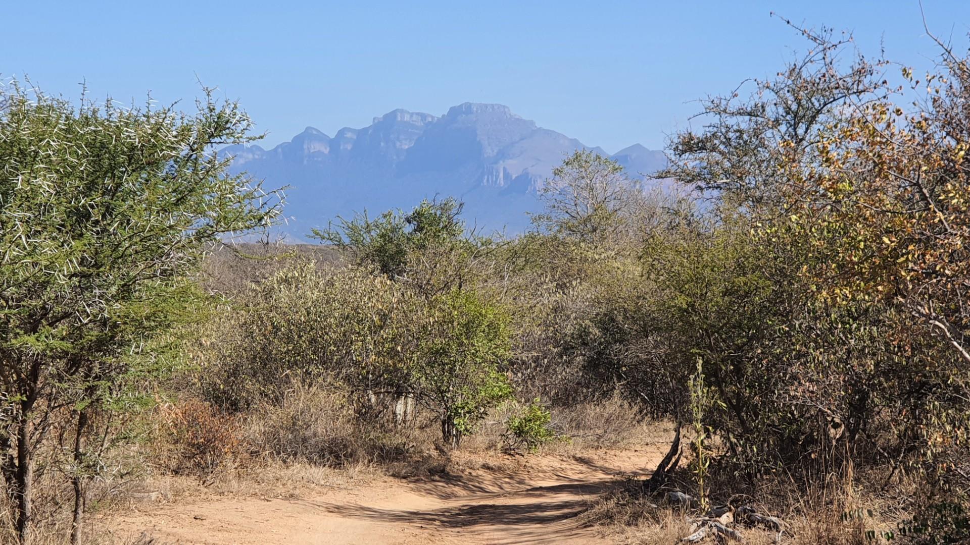 Corner stand available in Rapters View Wildlife Estate for plot and plan option