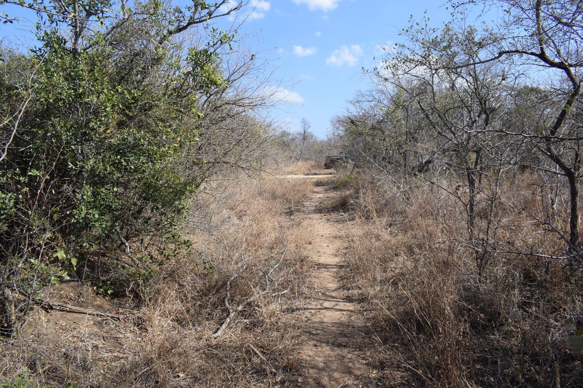 Vacant Land for sale in Moditlo Nature Reserve, Hoedspruit, 9875 m²