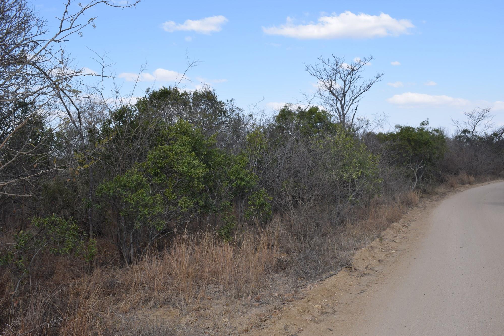 Vacant Land for sale in Moditlo Nature Reserve, Hoedspruit, 9875 m²