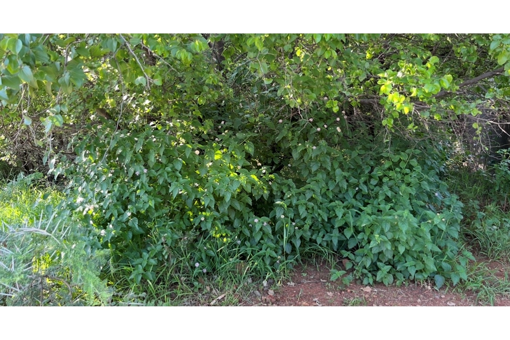 Vacant Land for sale in Seasons Lifestyle Estate, Hartbeespoort, North West, 959 m²