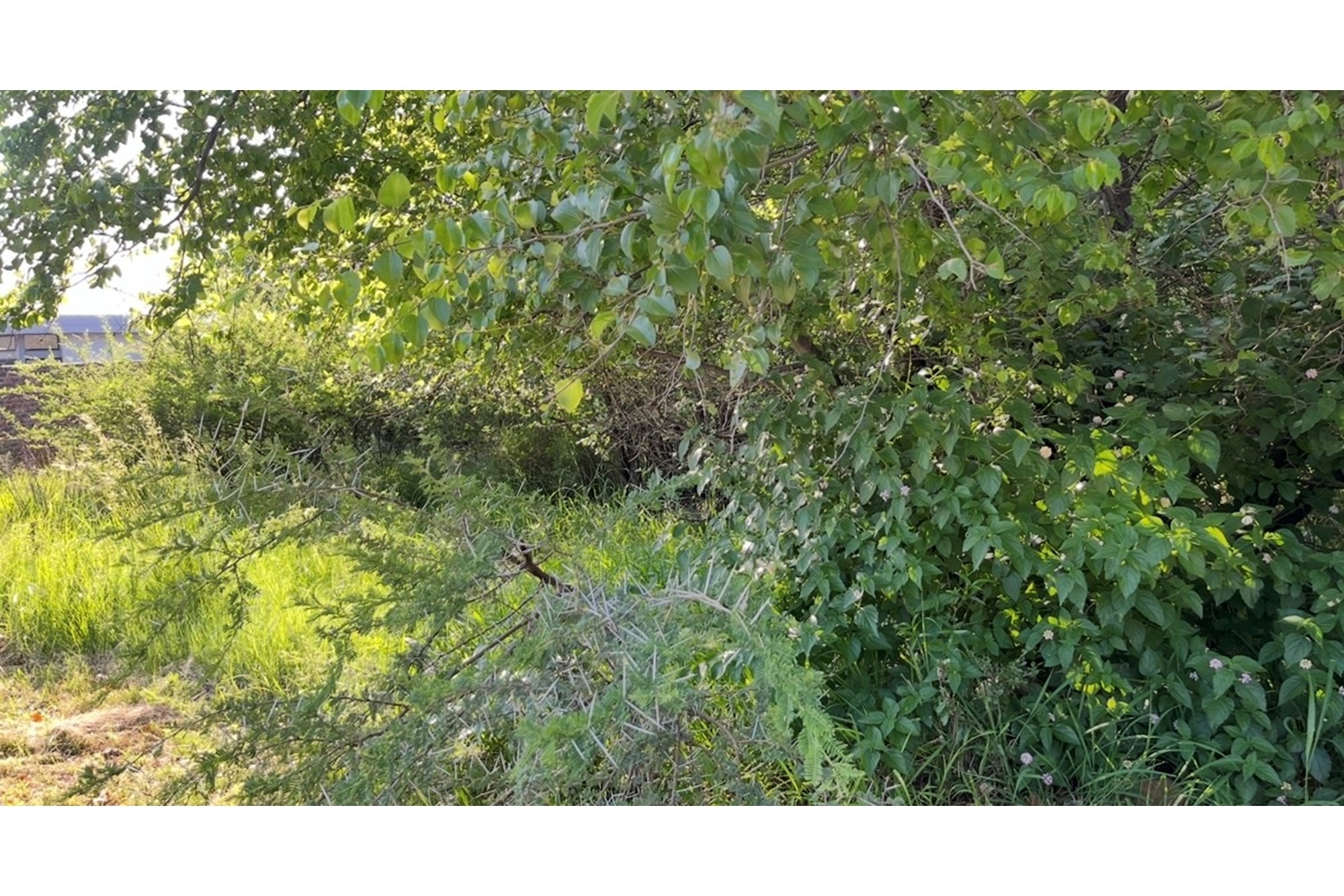 Vacant Land for sale in Seasons Lifestyle Estate, Hartbeespoort, North West, 959 m²