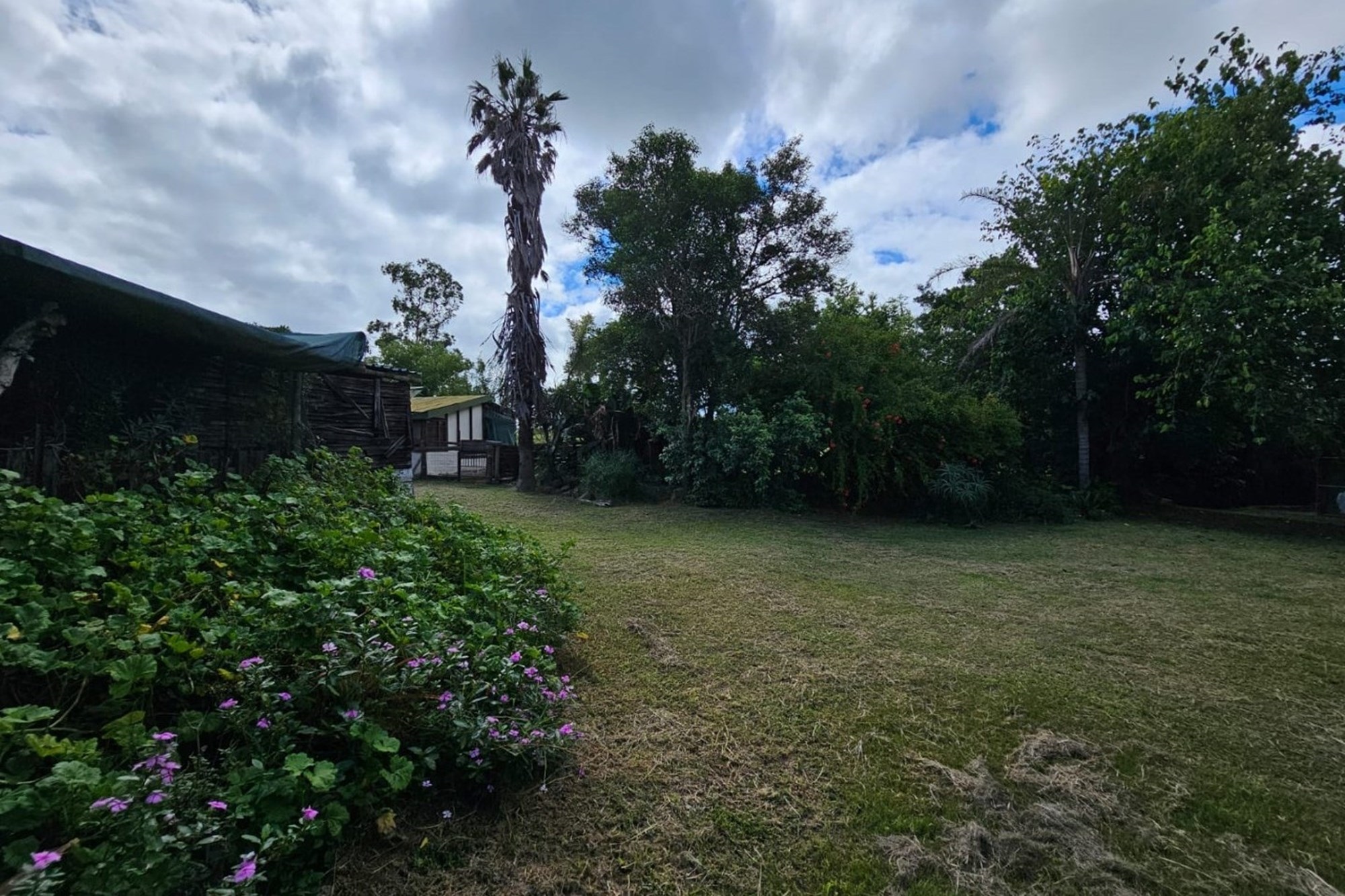 Small Holding For Sale in Barberton