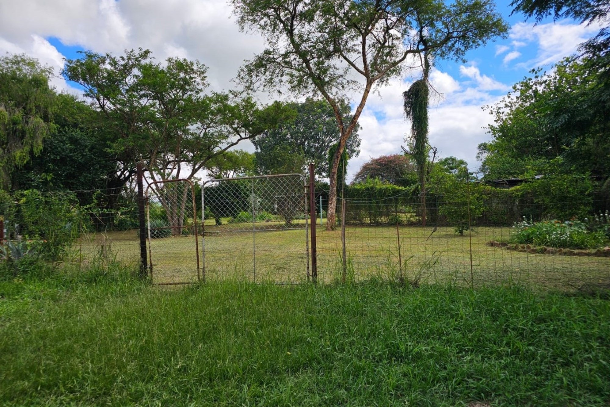 Small Holding For Sale in Barberton