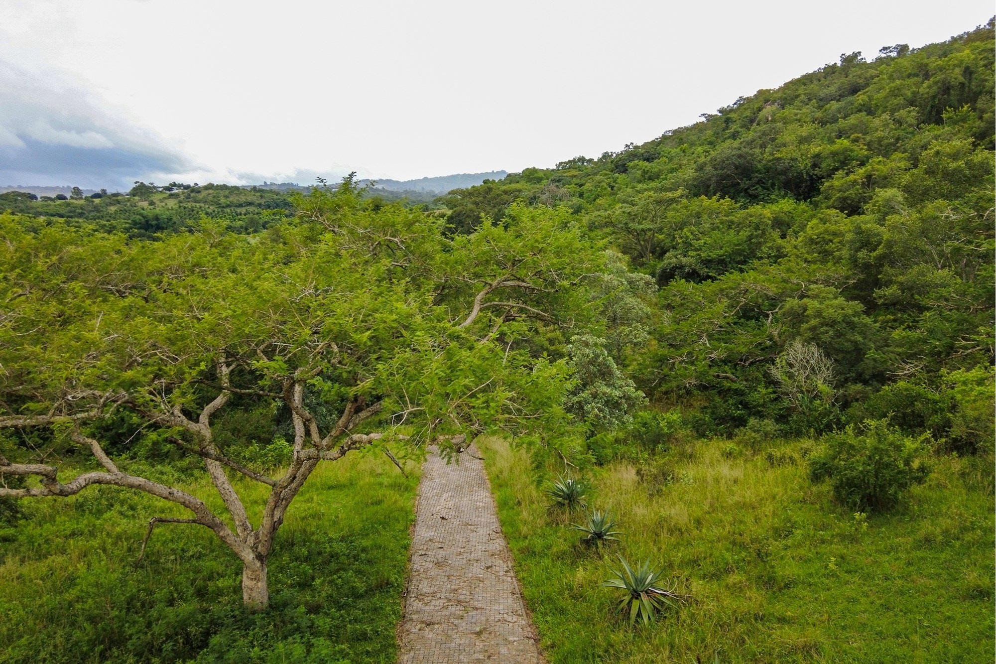 Prime Development Land in Exclusive White River Countryside, divided into stands and fully serviced.