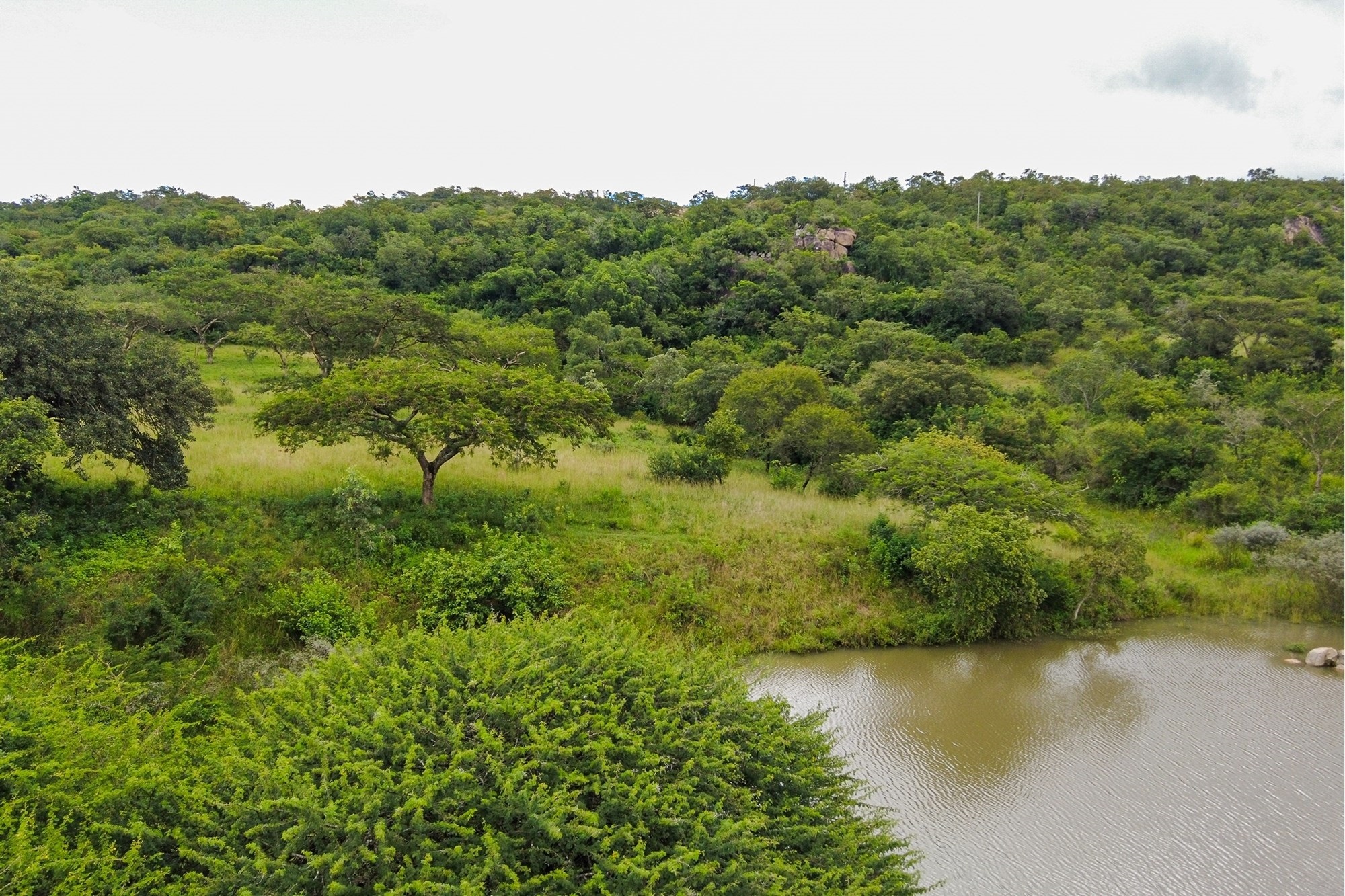 Prime Development Land in Exclusive White River Countryside, divided into stands and fully serviced.