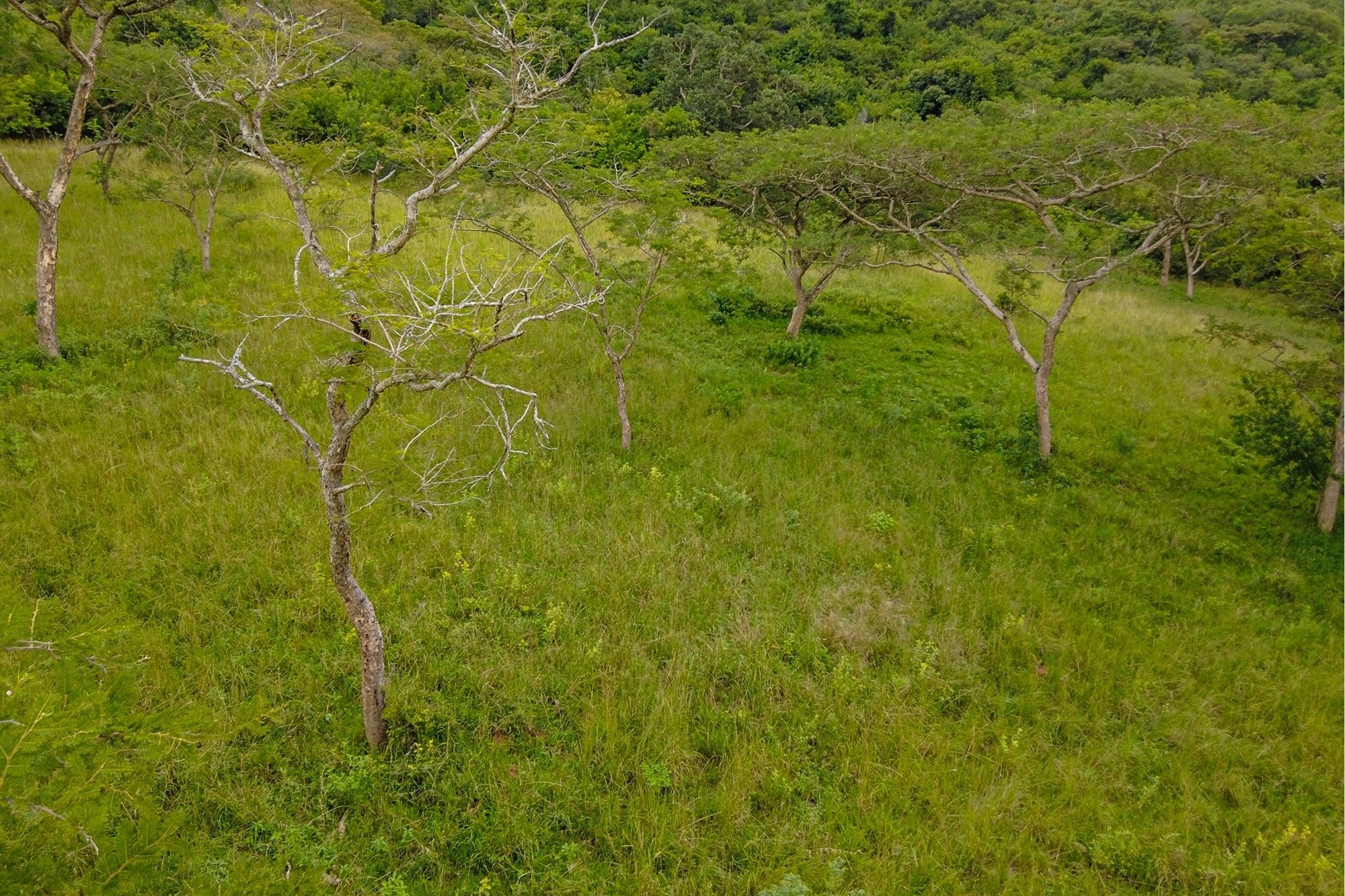 Prime Development Land in Exclusive White River Countryside, divided into stands and fully serviced.