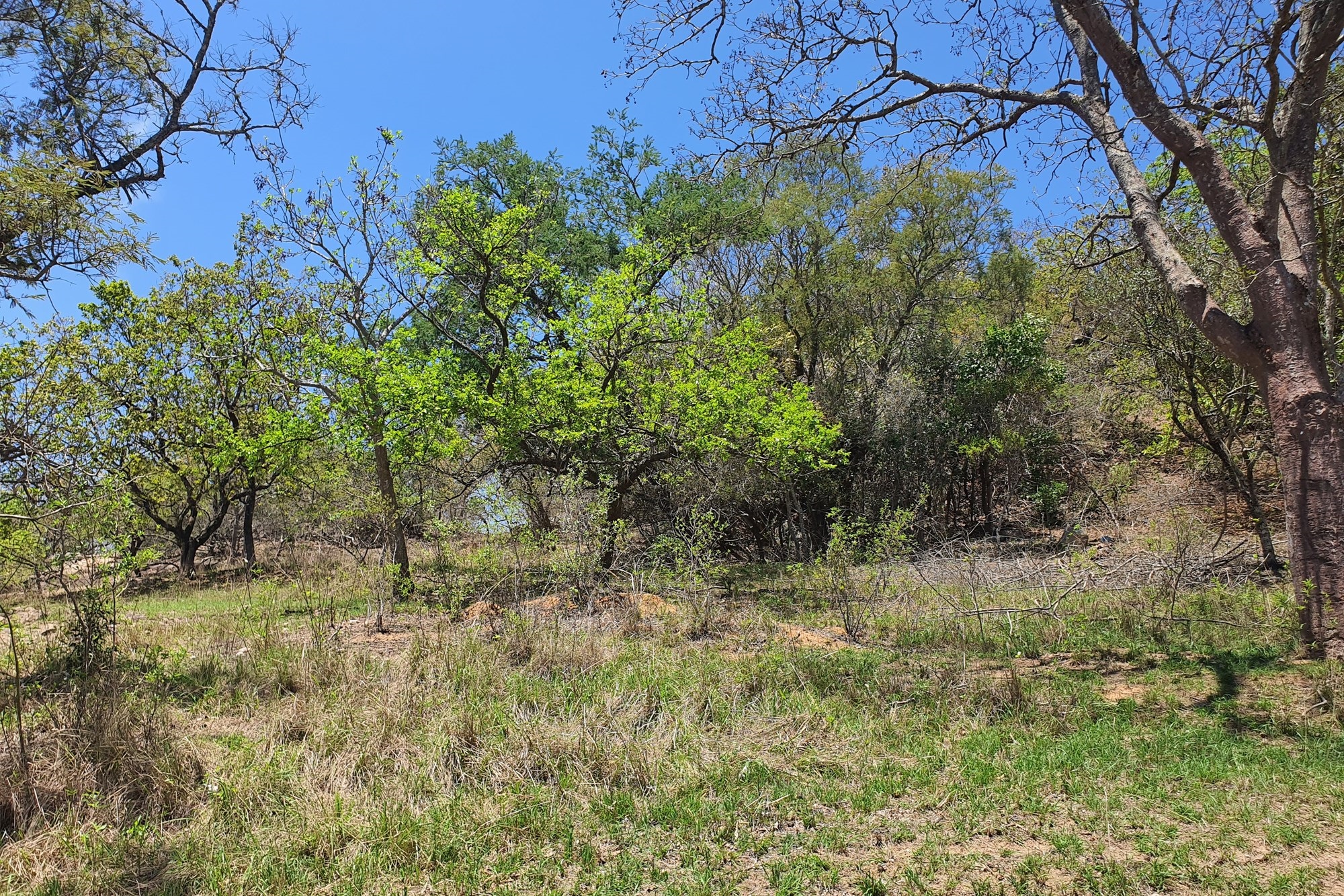 "Exclusive Plot in The Rest Country Estate