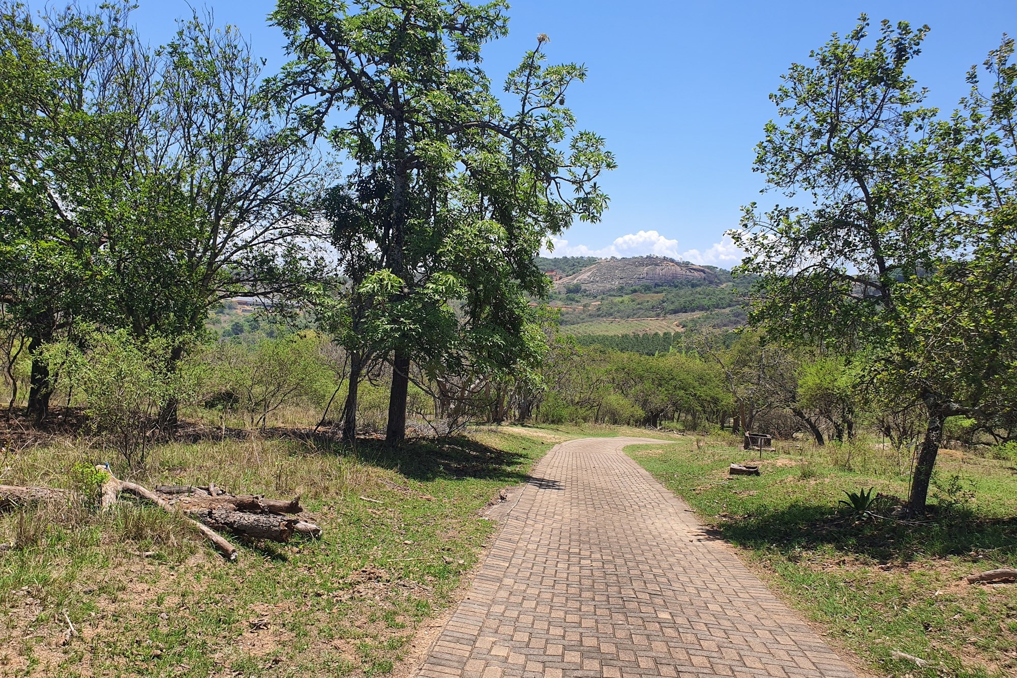 "Exclusive Plot in The Rest Country Estate