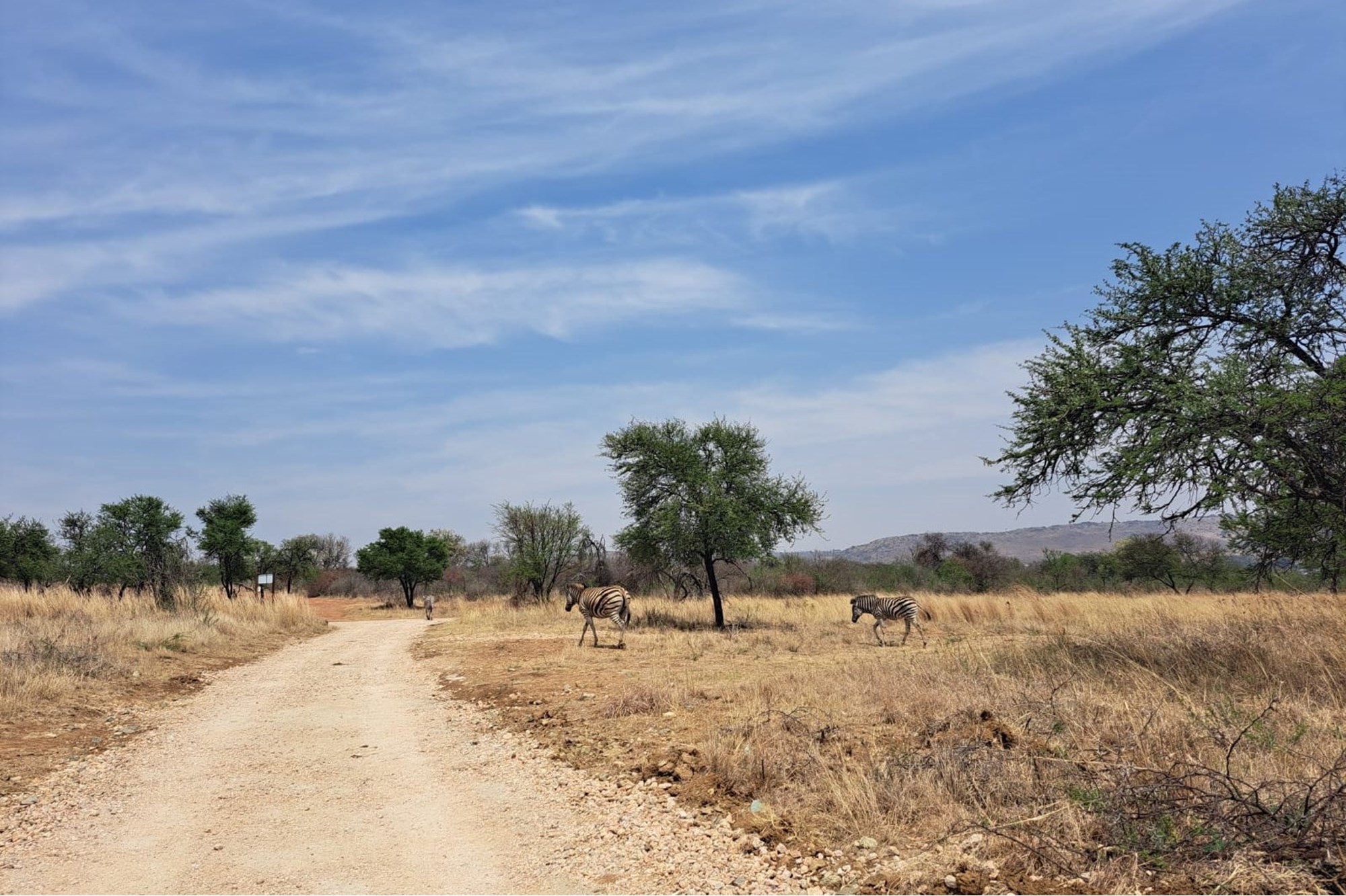 For Sale Vacant Land in Exclusive Letamo Game Farm - Cradle of Humankind situated near Krugersdorp