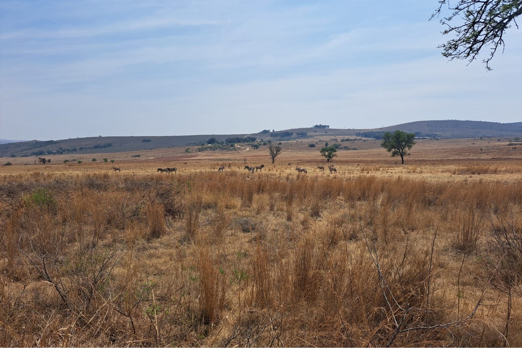 For Sale Vacant Land in Exclusive Letamo Game Farm - Cradle of Humankind situated near Krugersdorp