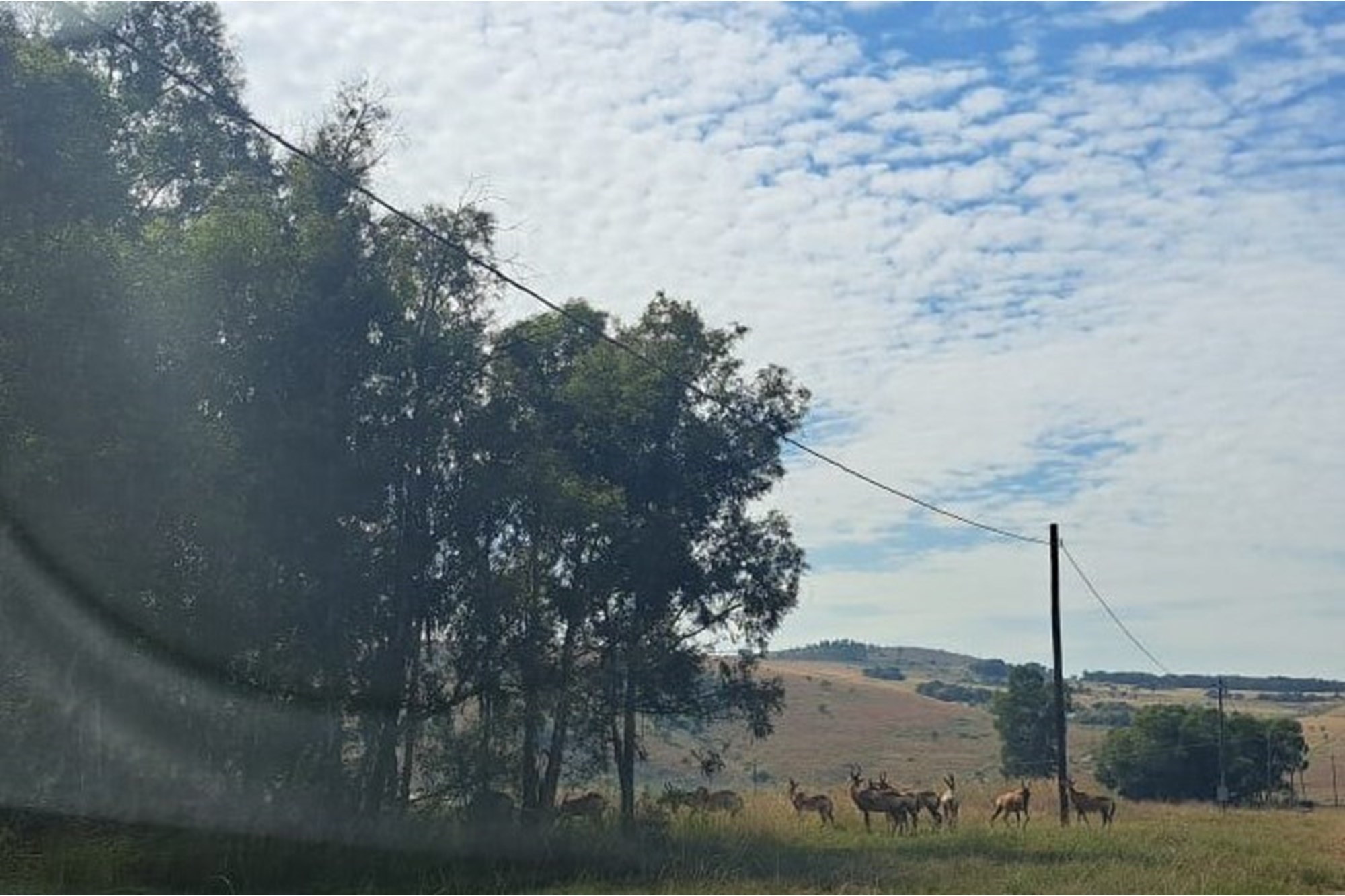 For Sale Vacant Land in Exclusive Letamo Game Farm - Cradle of Humankind situated near Krugersdorp