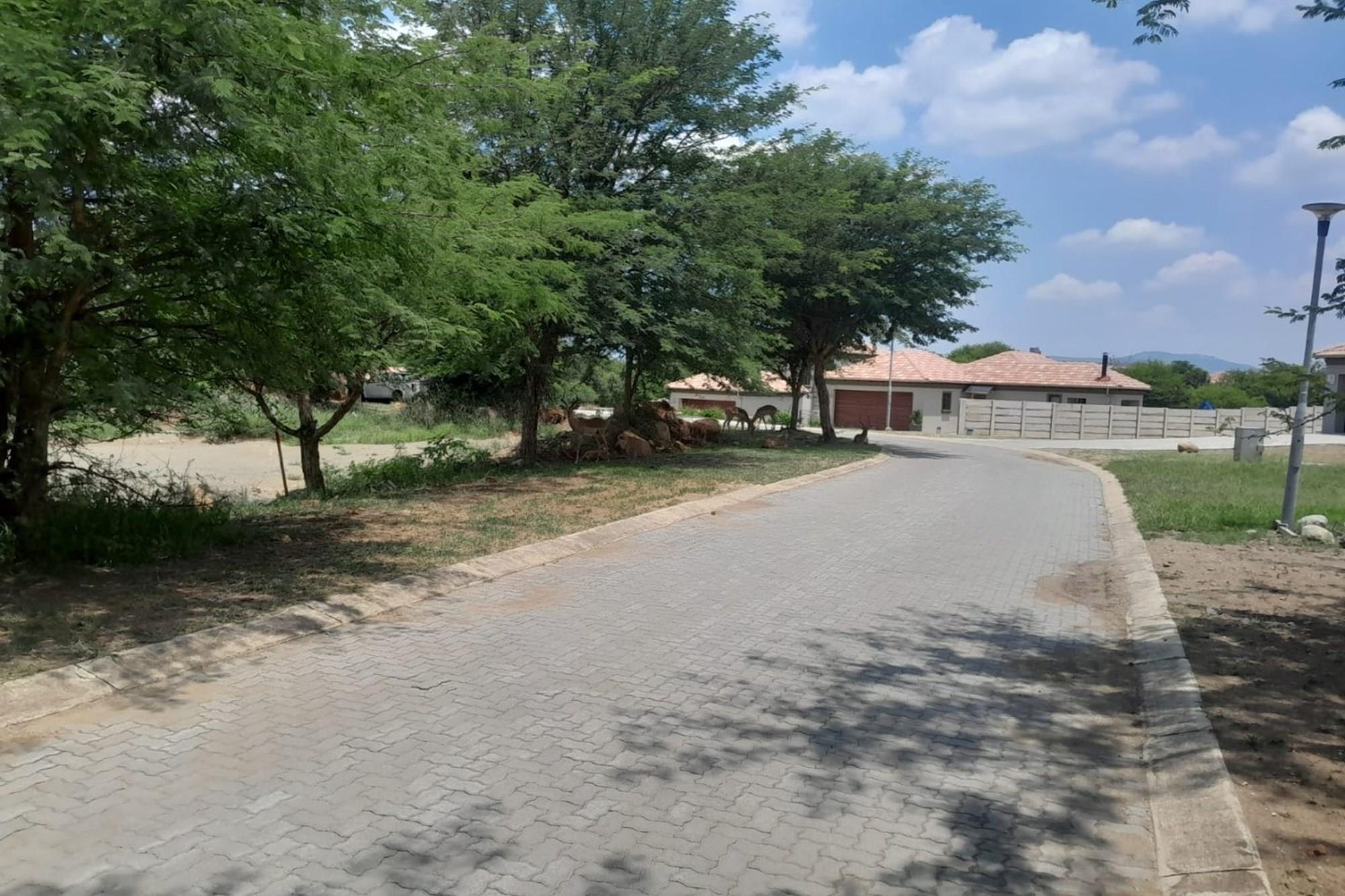 Transform this vacant land into your dream home!
