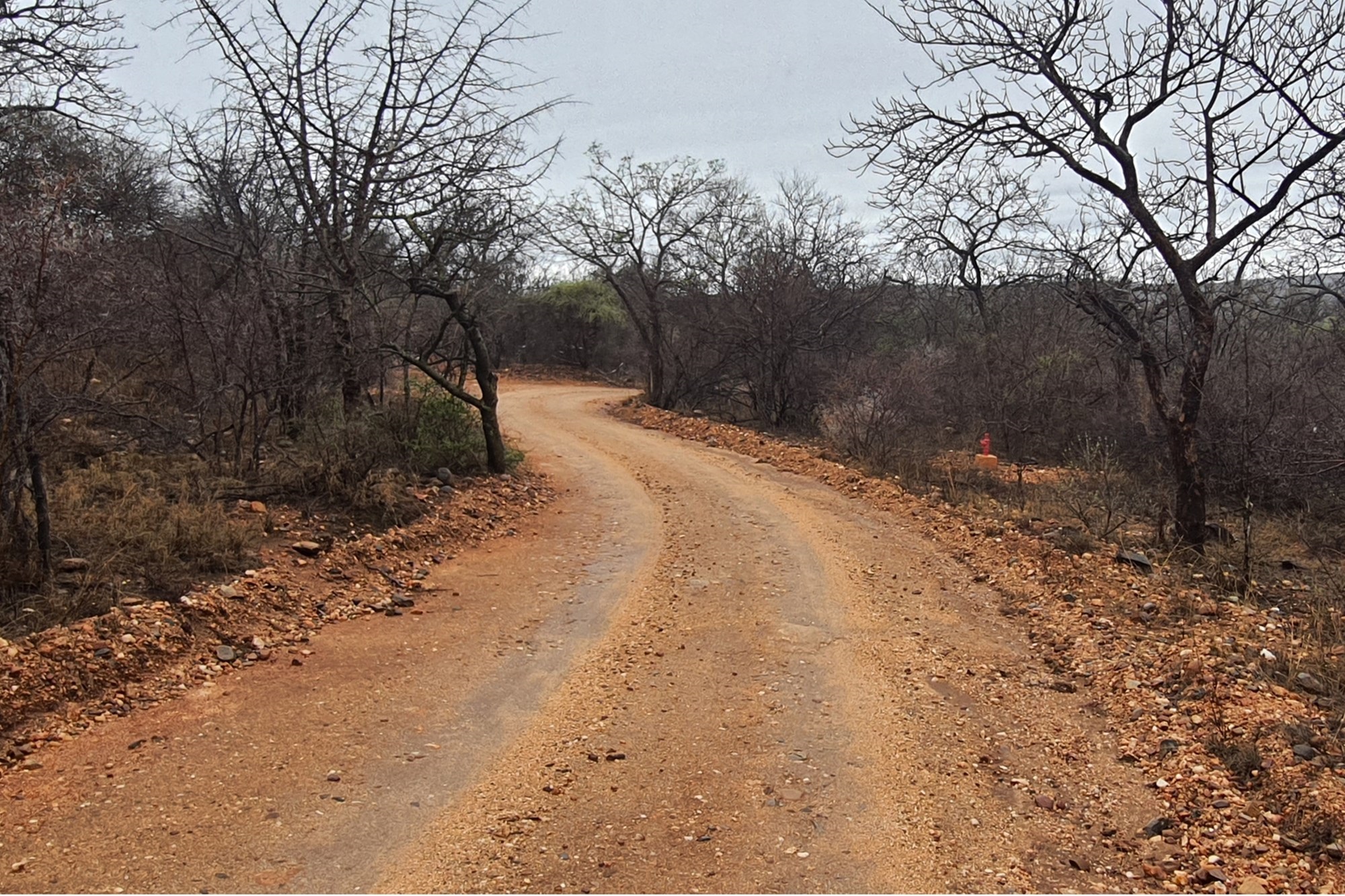 Buy one or more of the few stands available in the Hoedspruit Area for below R1.0m