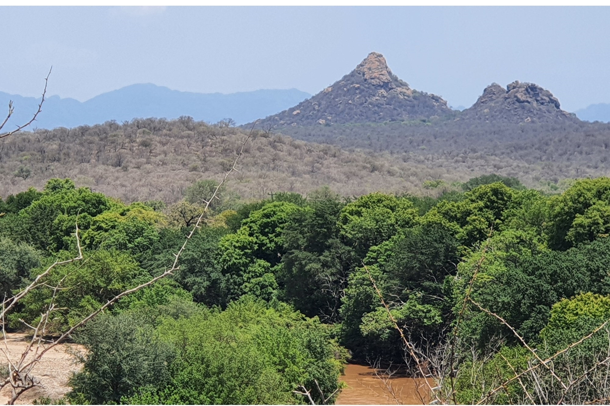 Buy one or more of the few stands available in the Hoedspruit Area for below R1.0m