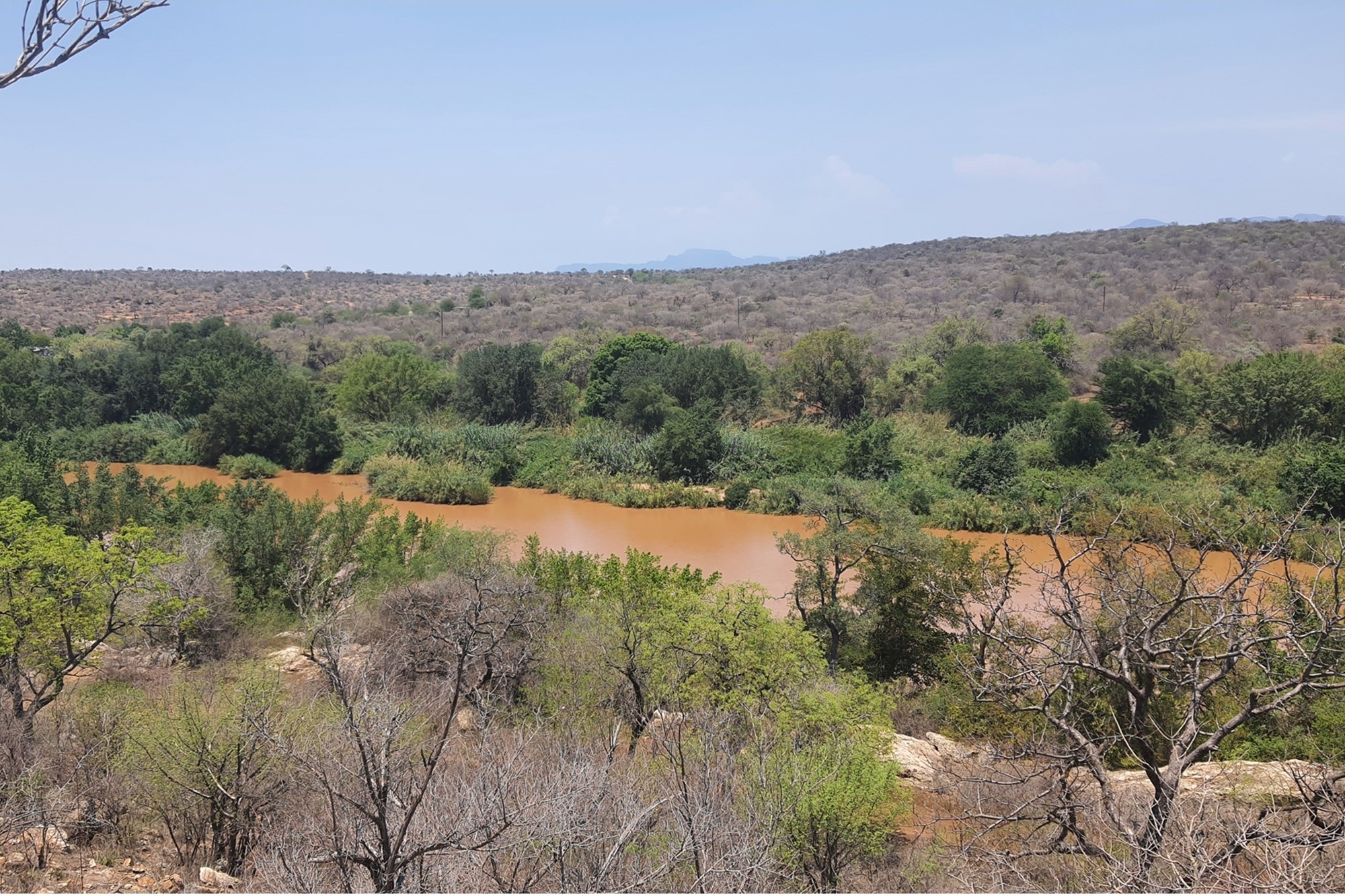 Buy one or more of the few stands available in the Hoedspruit Area for below R1.0m