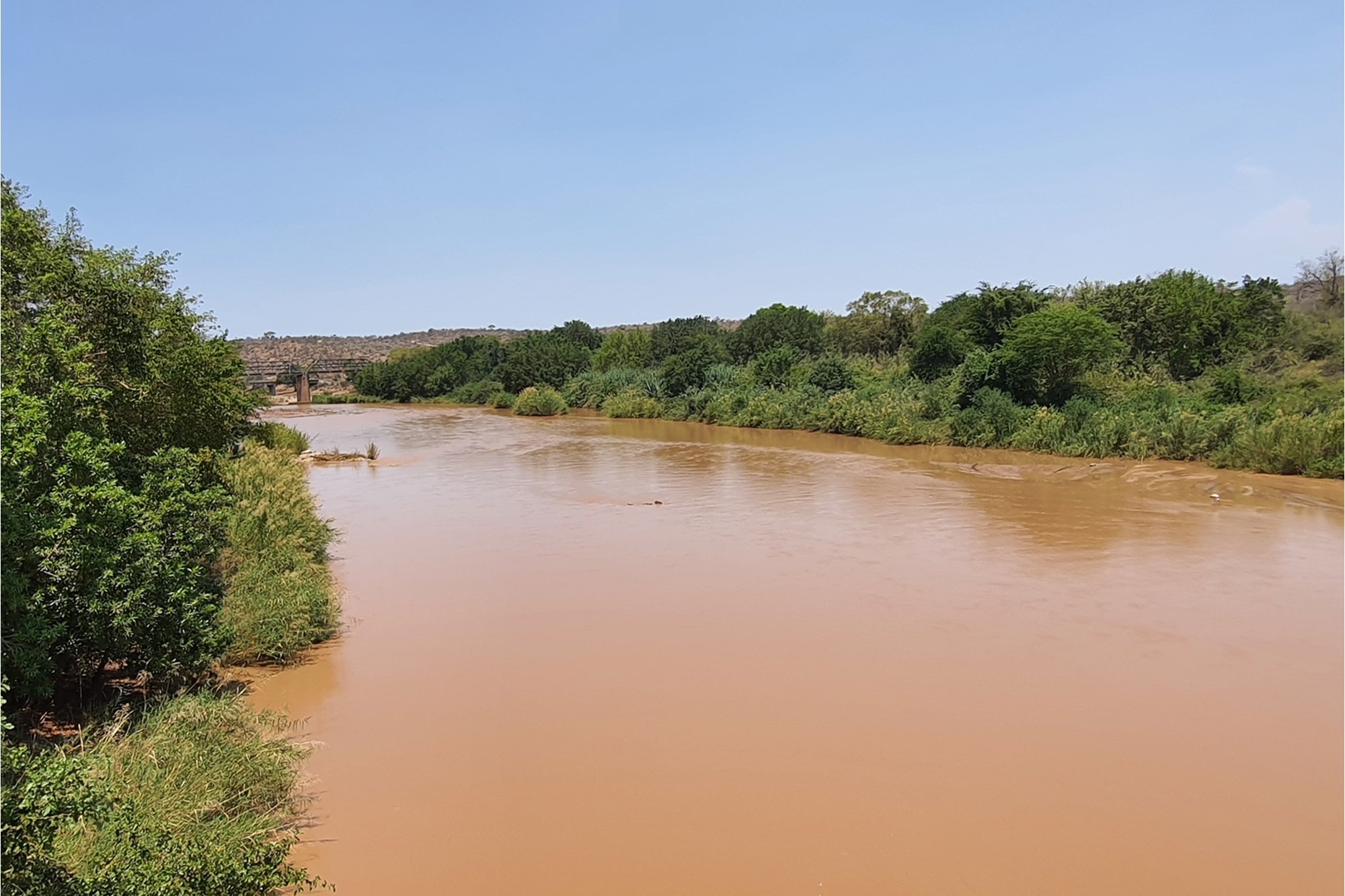 Buy one or more of the few stands available in the Hoedspruit Area for below R1.0m