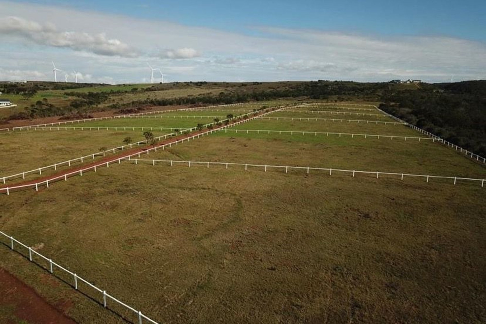 Twin Valley Nature Estate: A Paradise for Horse Lovers