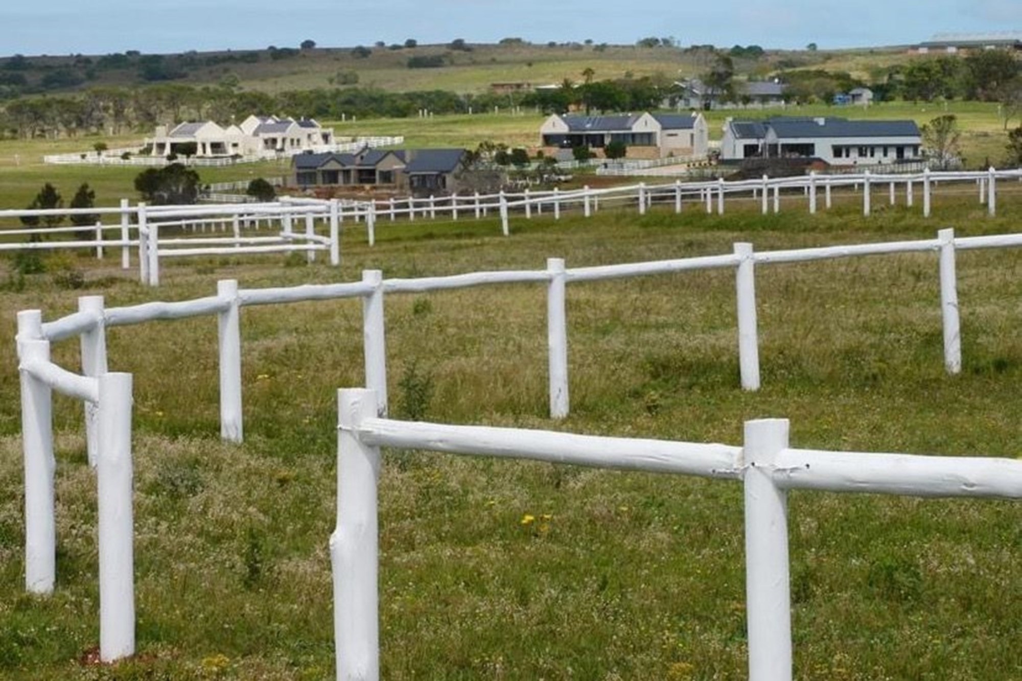 Twin Valley Nature Estate: A Paradise for Horse Lovers