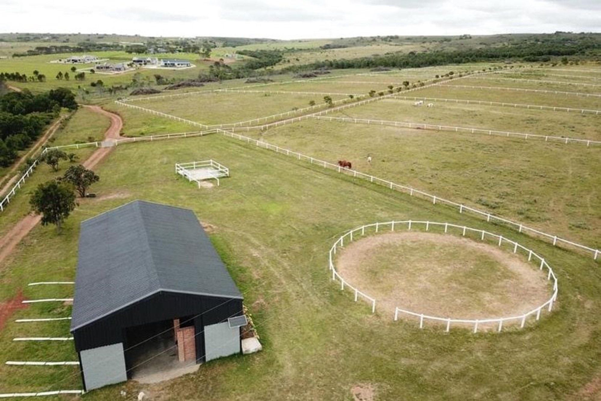 Twin Valley Nature Estate: A Paradise for Horse Lovers