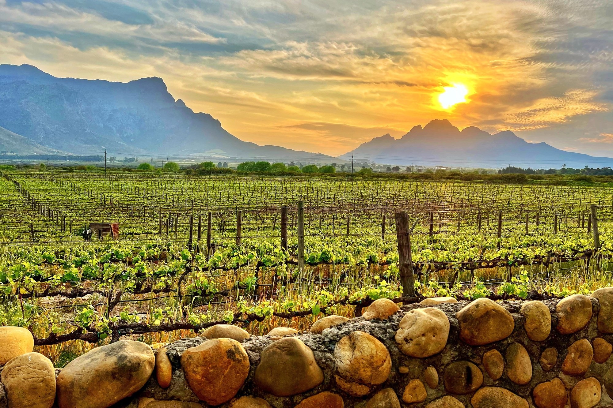 Prime Location With Exceptional Views “Franschhoek Valley”