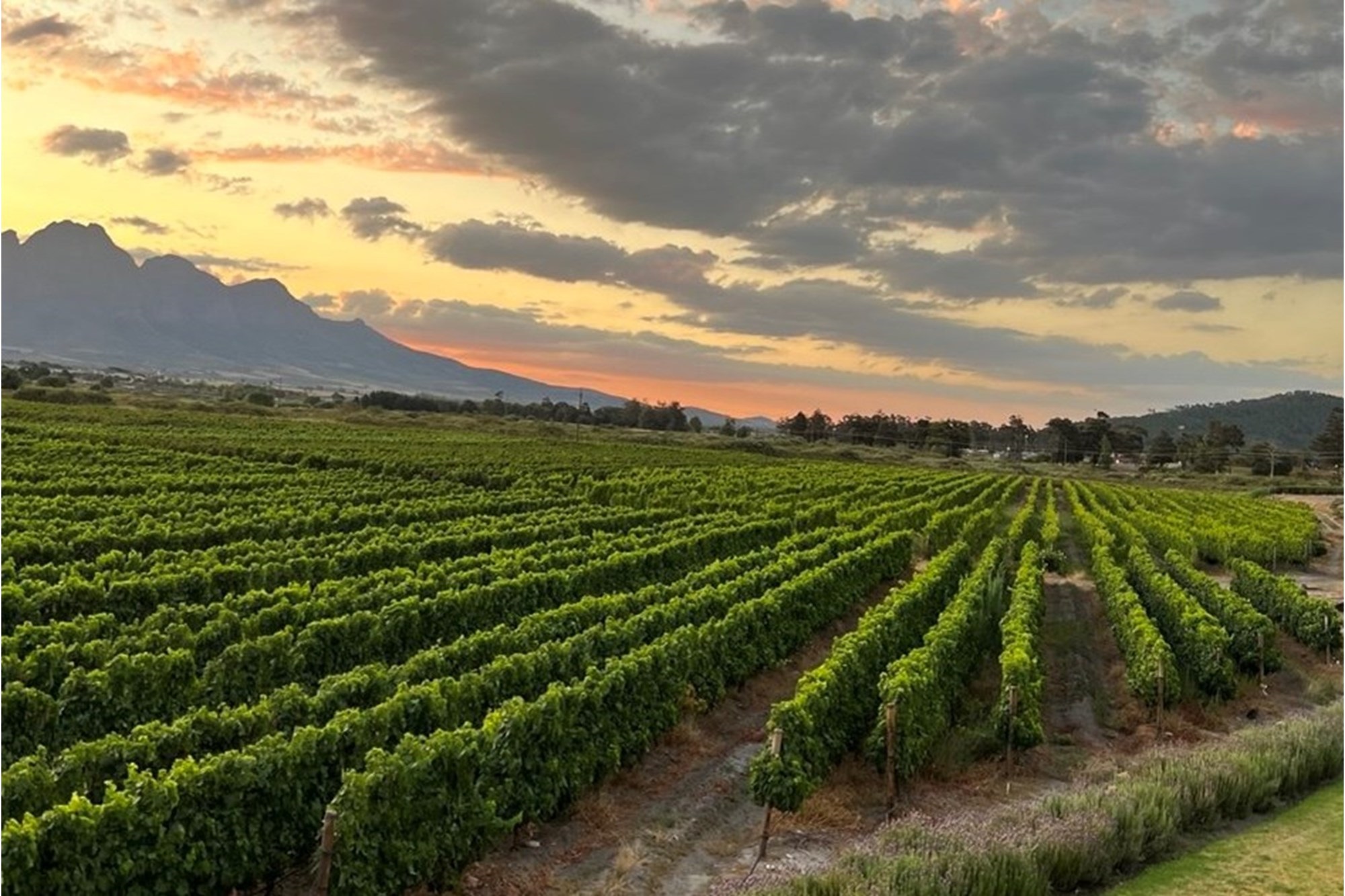 Prime Location With Exceptional Views “Franschhoek Valley”