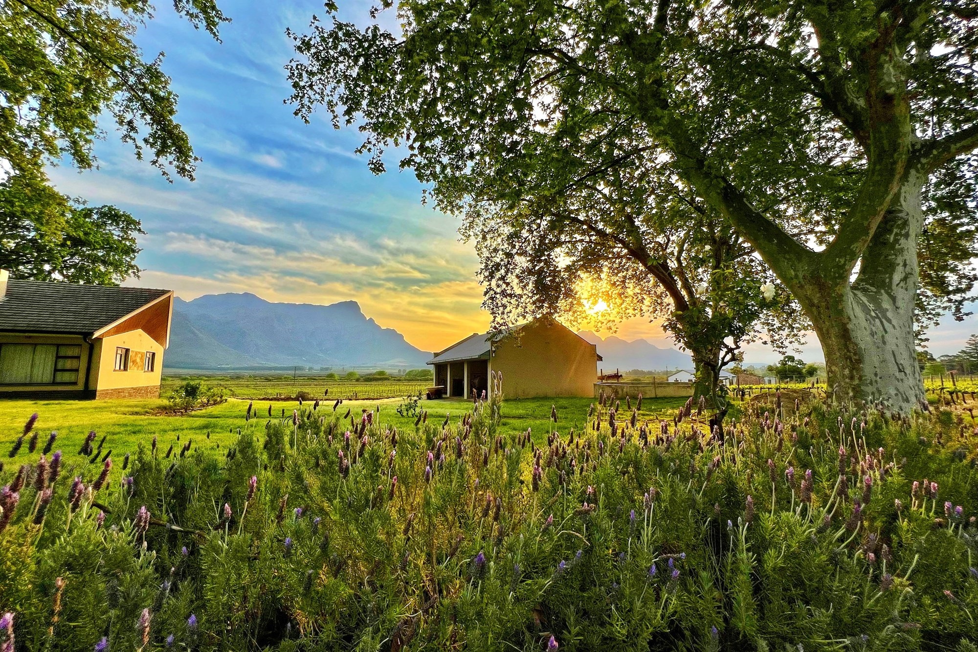 Prime Location With Exceptional Views “Franschhoek Valley”