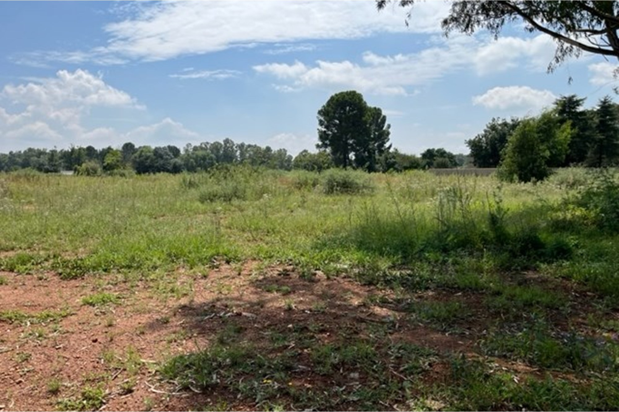 Large vacant corner stand