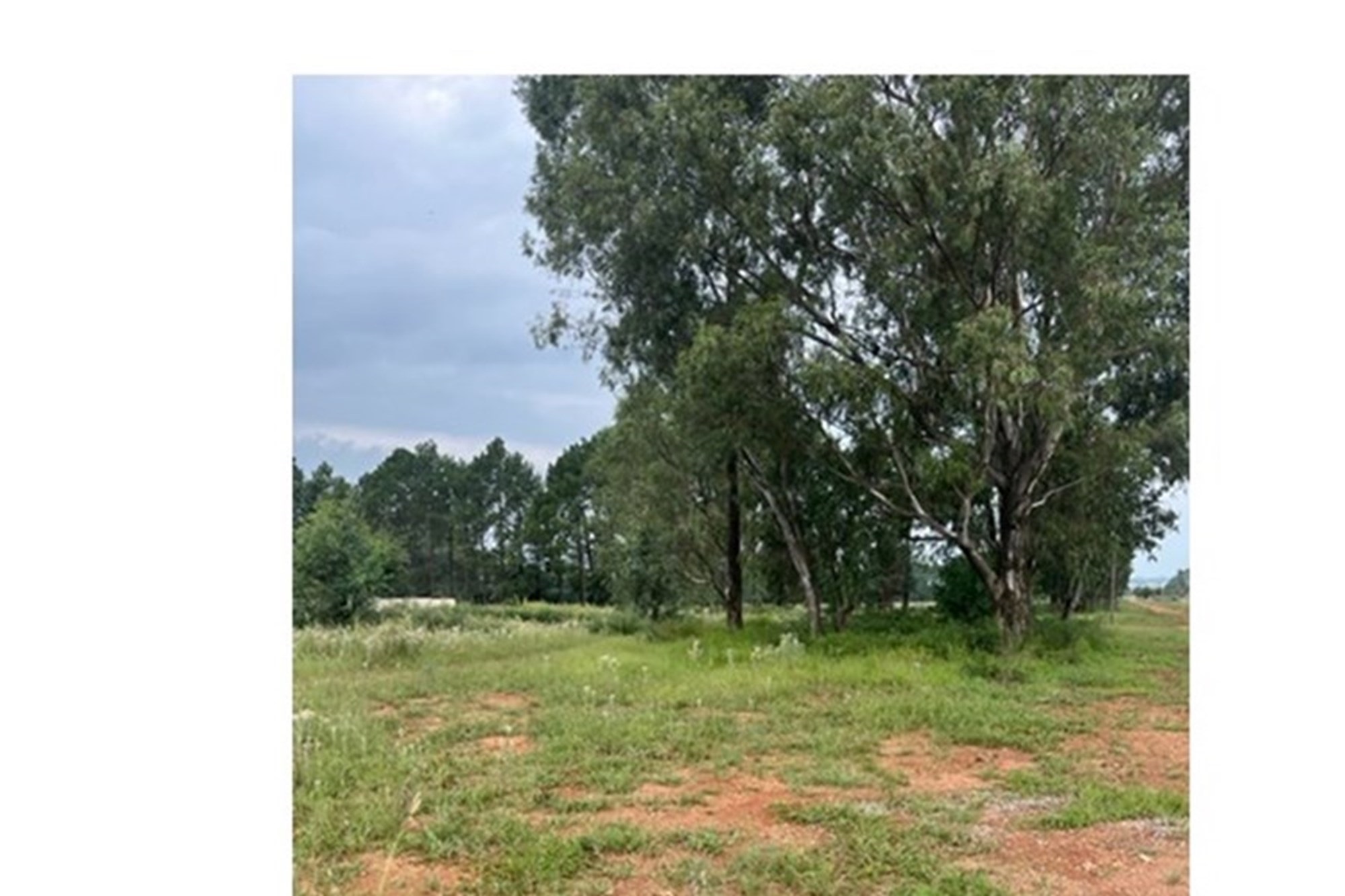 Large vacant corner stand