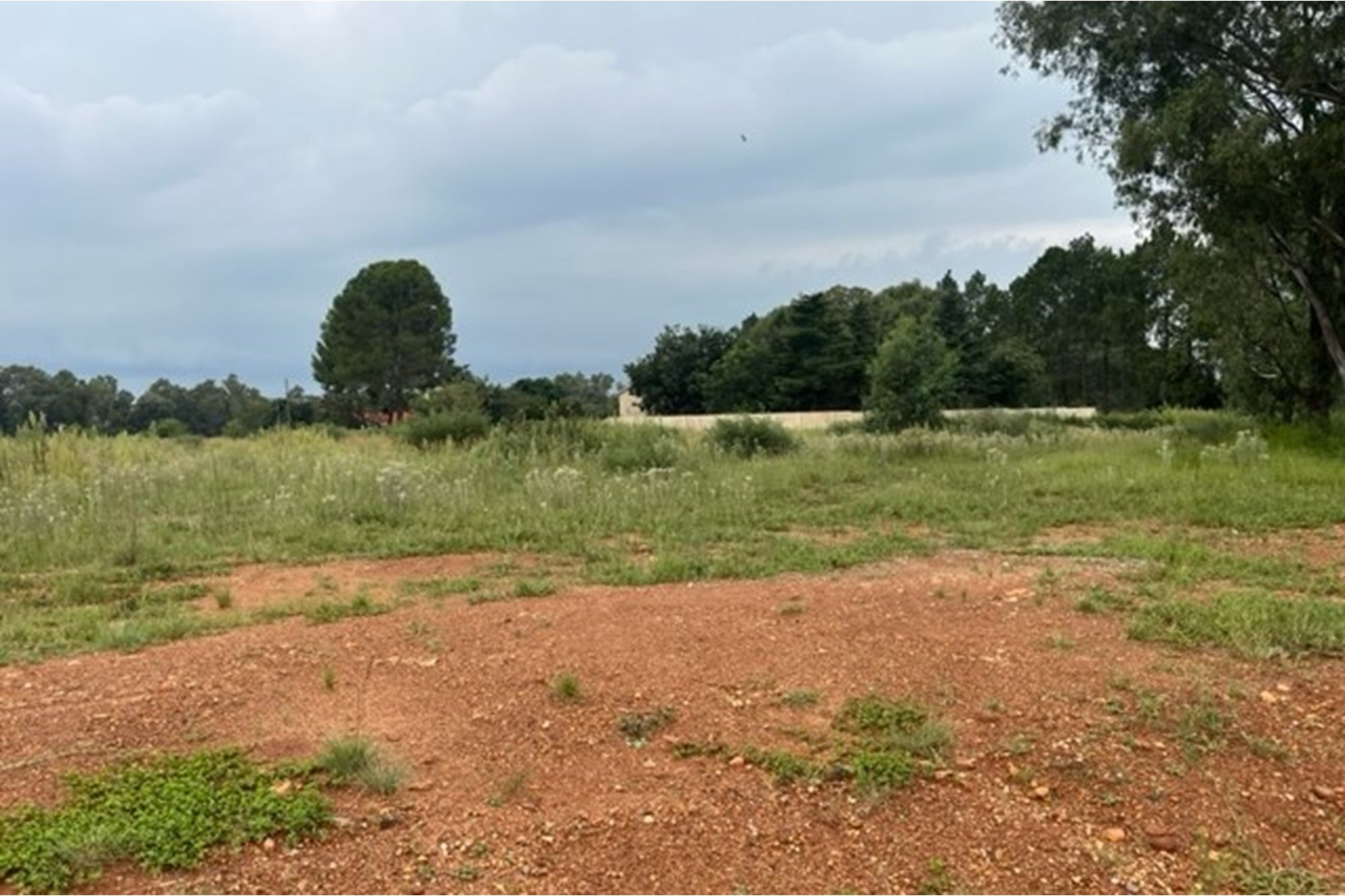 Large vacant corner stand