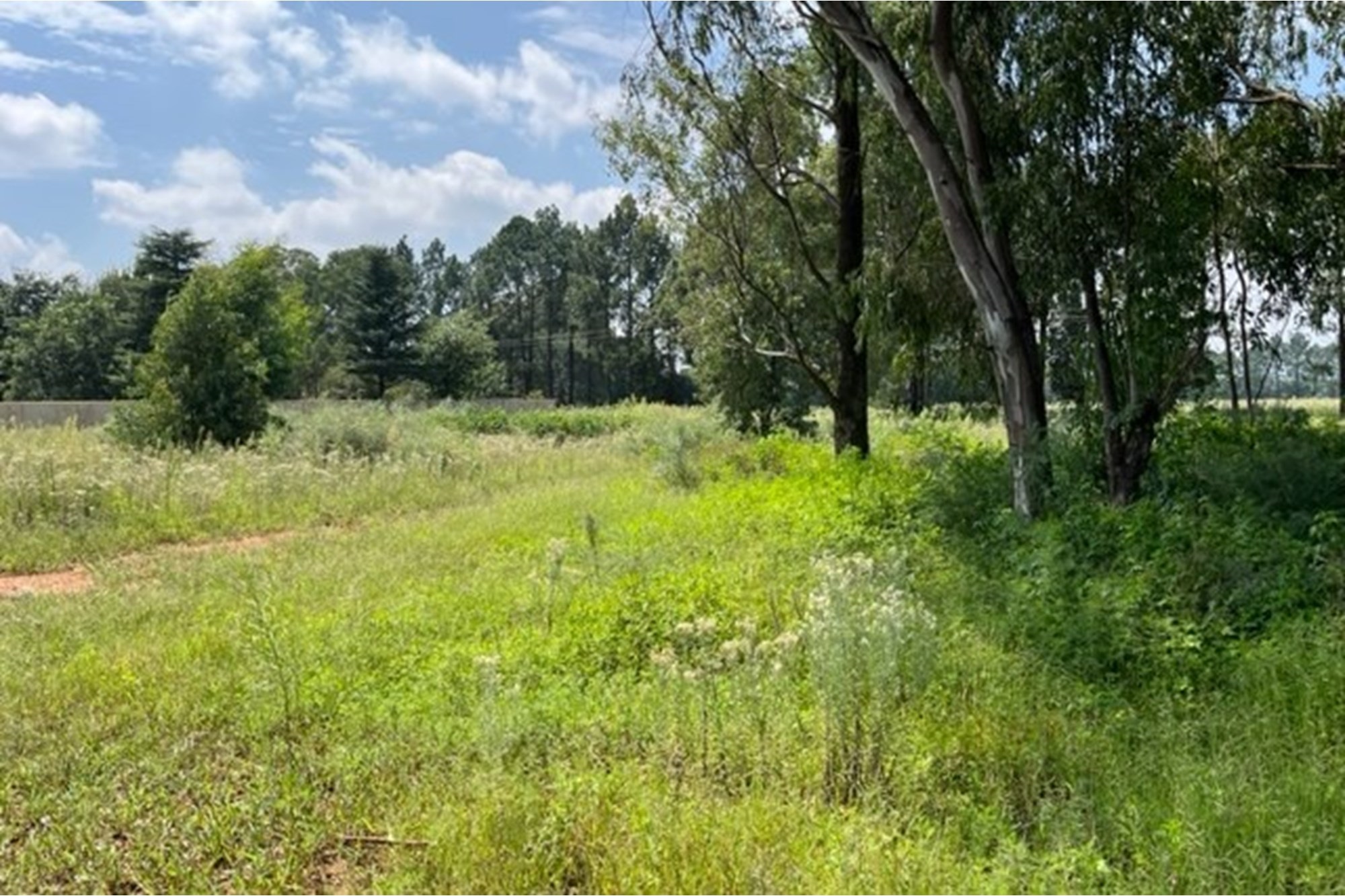 Large vacant corner stand