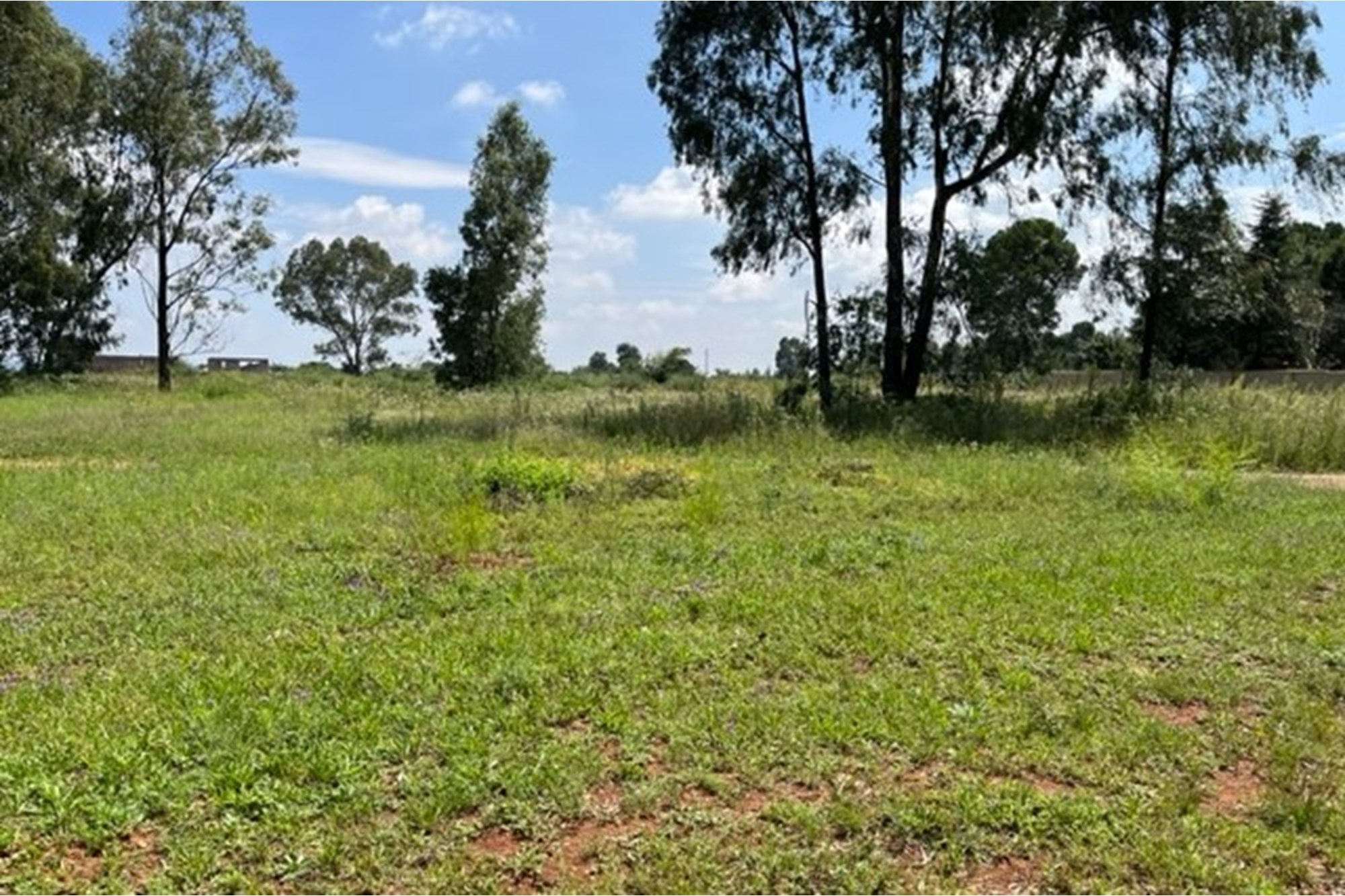 Large vacant corner stand