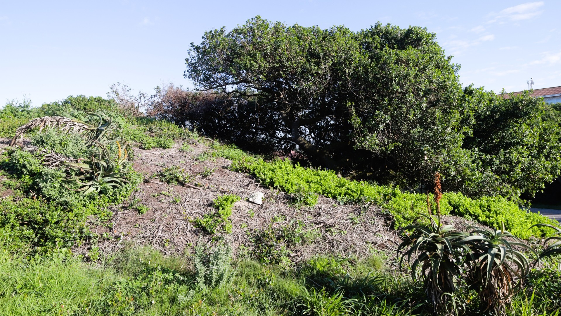 Vacant Land for sale in Aston Bay, Jeffreys Bay, 588 m²