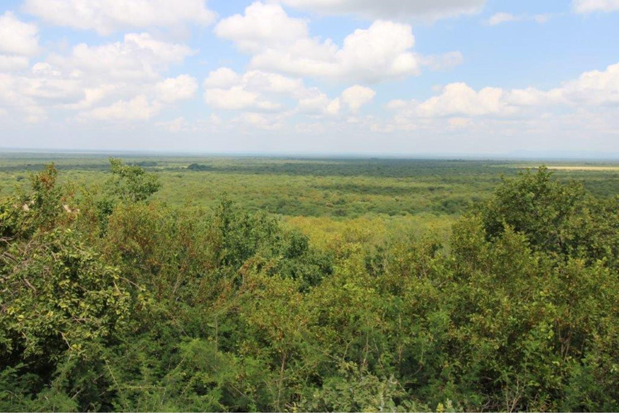 Thaba Moriri - Vacant stand with spectacular mountain views
