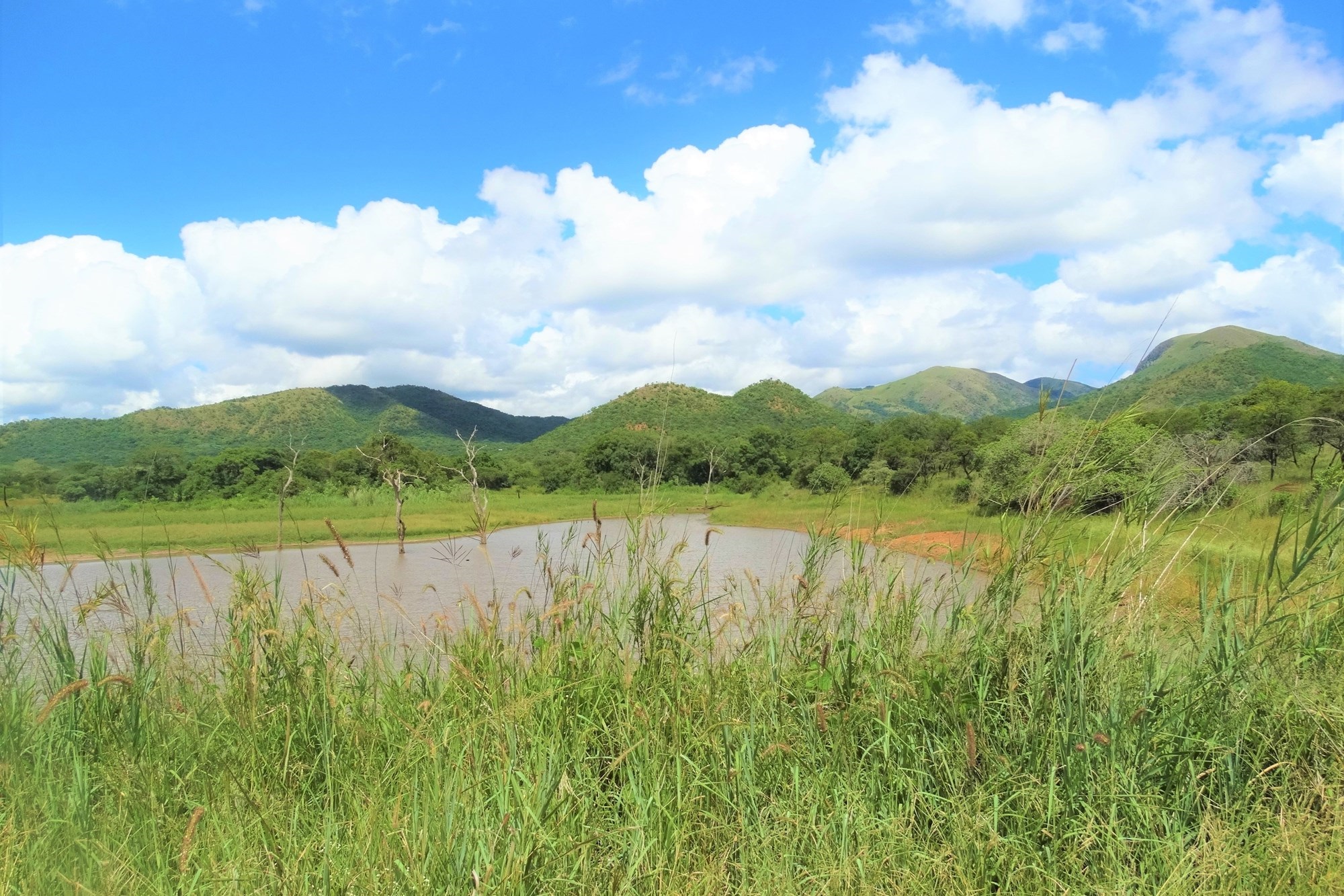 6612HA Game Farm Investment - Near Kruger National Park and Leopard Creek Golf