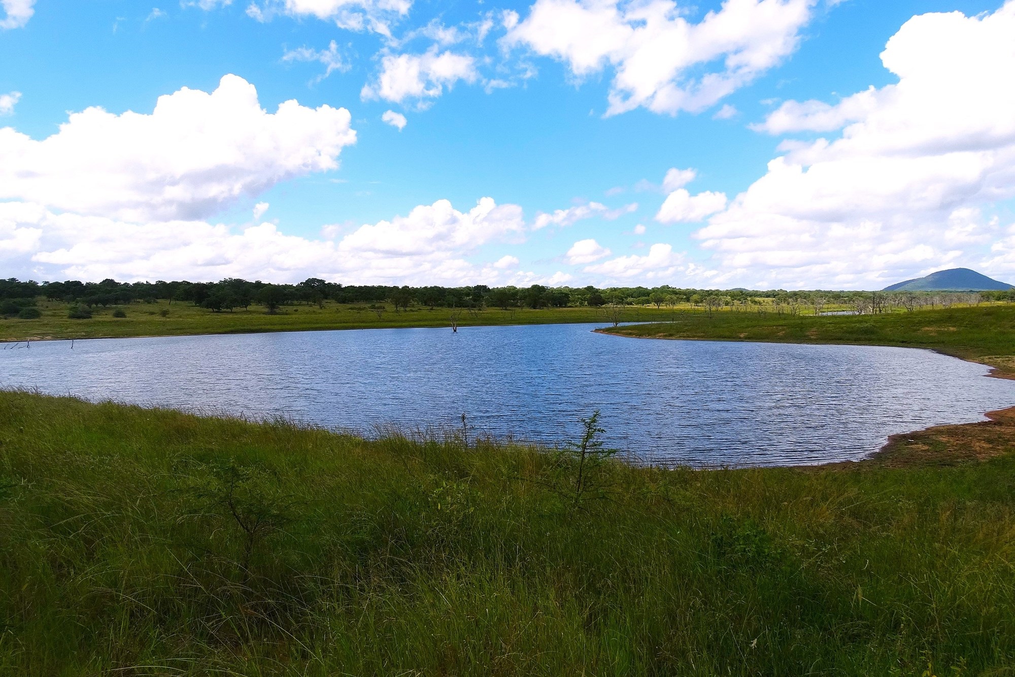 Farm for sale in Malelane Rural, Malelane, 3000 m²