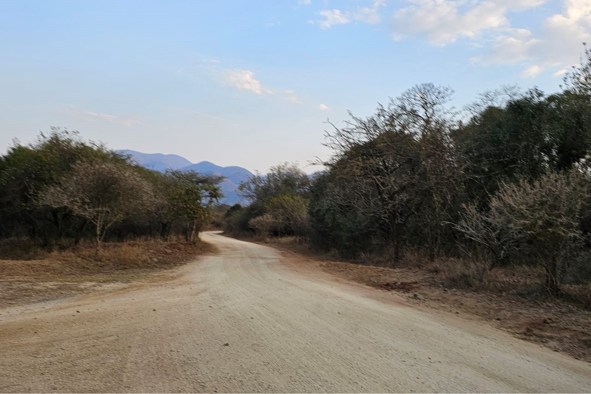 "Greenstone Wildlife: Luxurious Home Awaits You"
