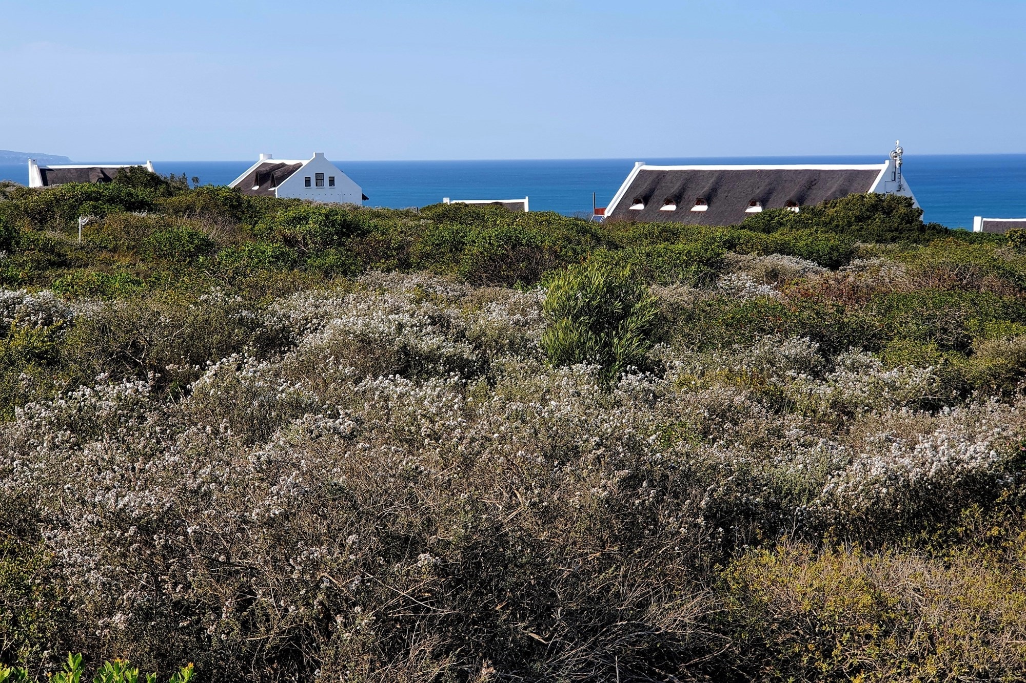 Orbaai Coastal Eco-Estate - Sea Views. Timeless Design. Grounded Living (only 5 stands left)