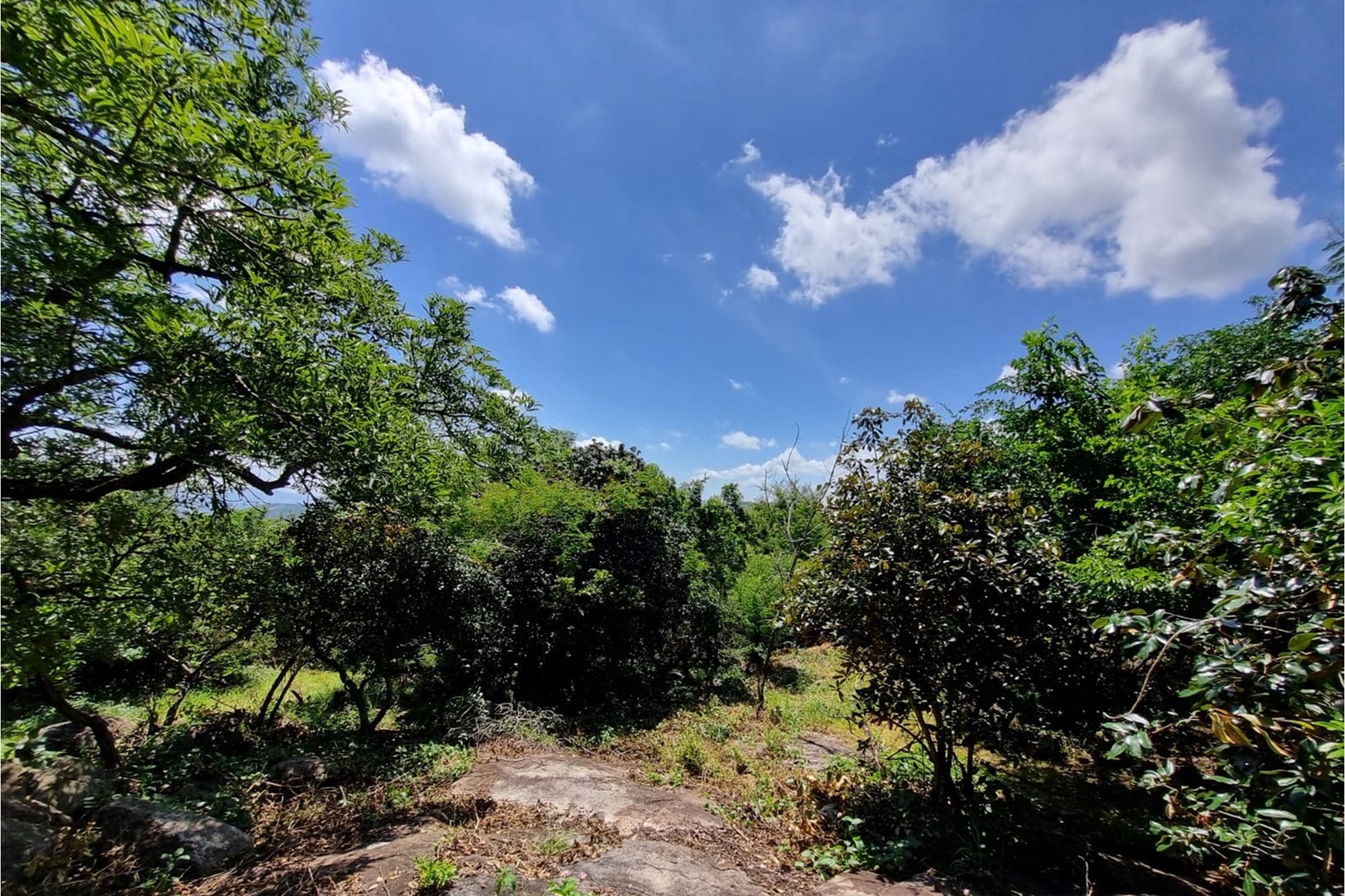 Magnificent Mbombela views on quiet road