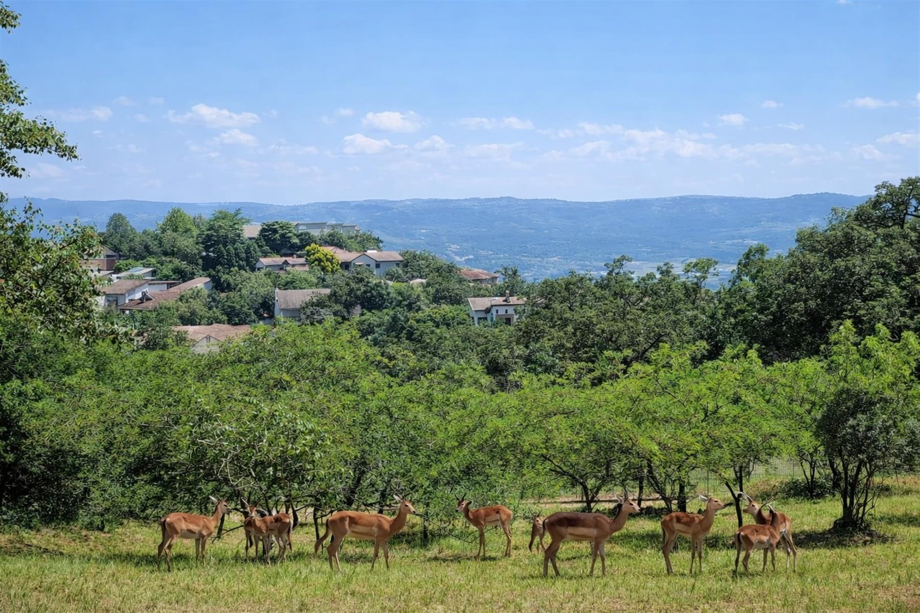 Magnificent Mbombela views on quiet road