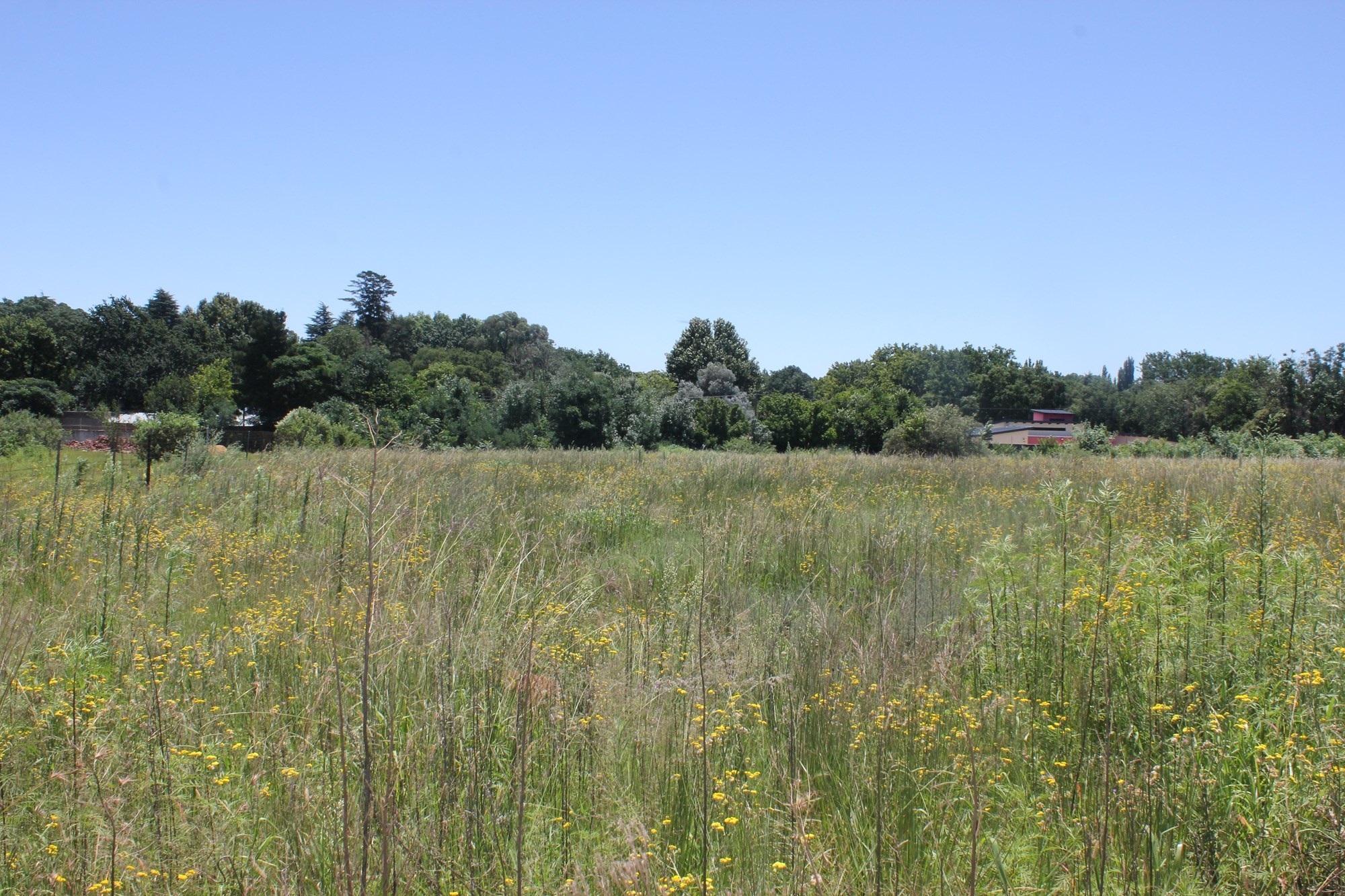 Large vacant stand