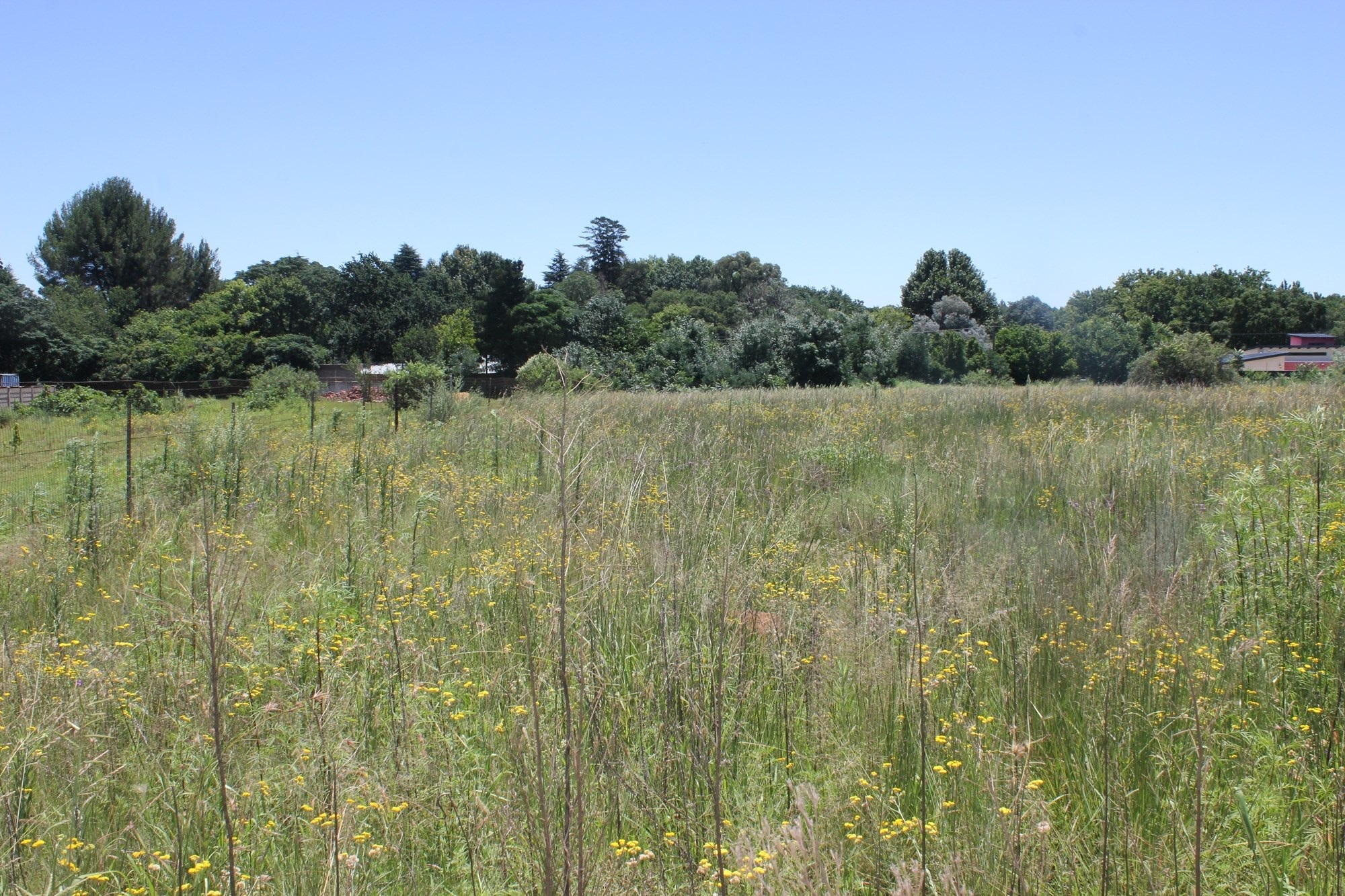 Large vacant stand