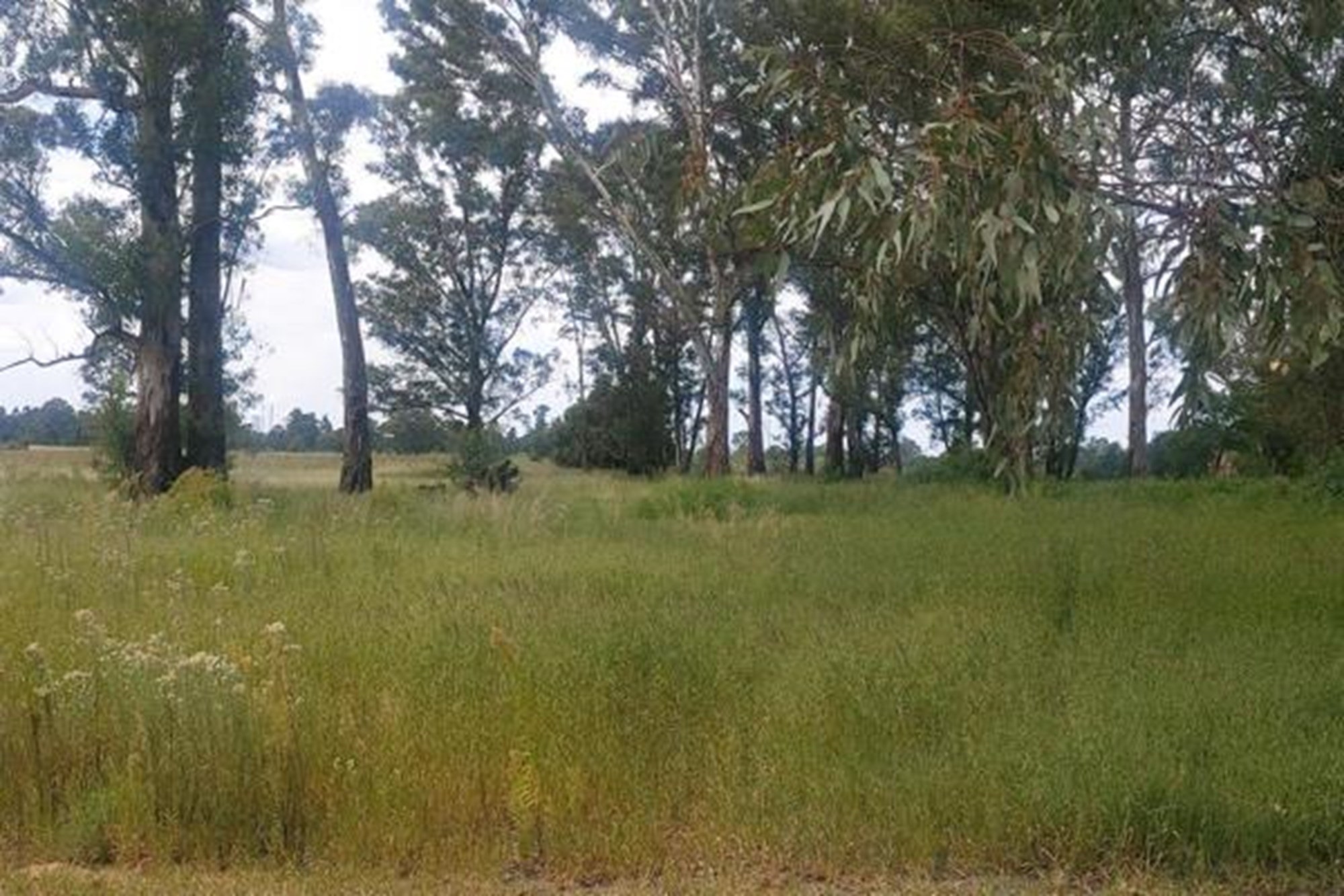 Vacant Land for sale in Sasolburg Central, Sasolburg, 249000 m²