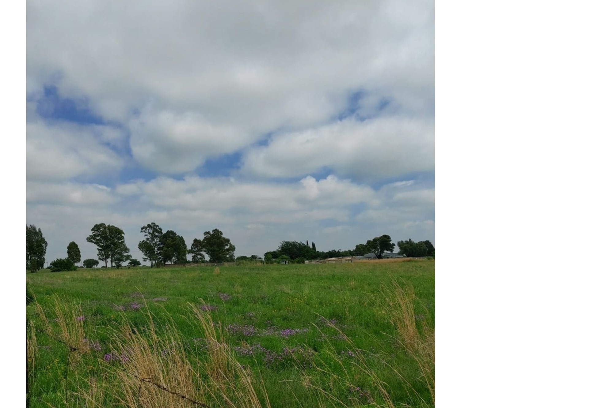 Vacant Land for sale in Sasolburg Central, Sasolburg, 249000 m²