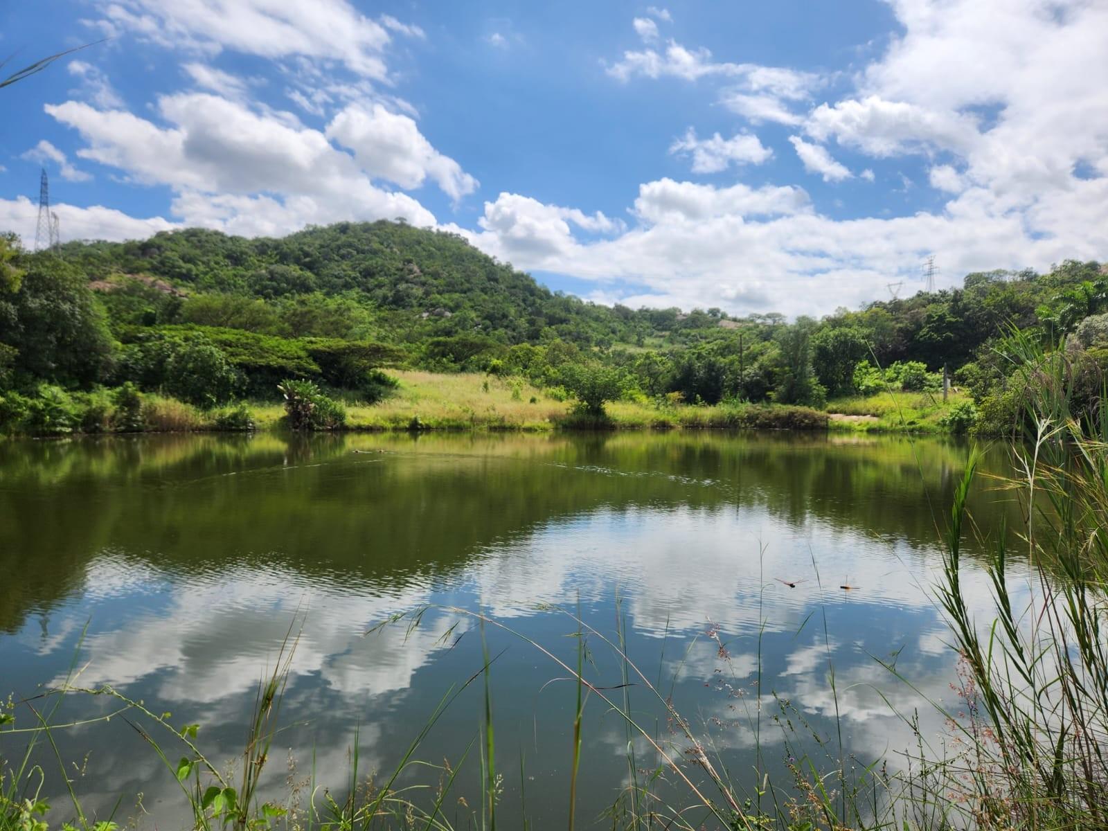 Scenic farm with hills and dam close to Karino