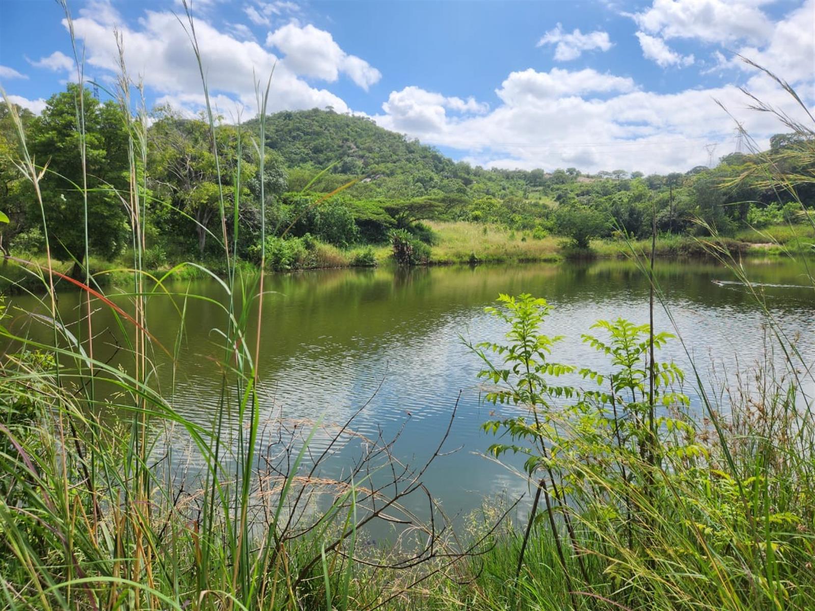 Scenic farm with hills and dam close to Karino