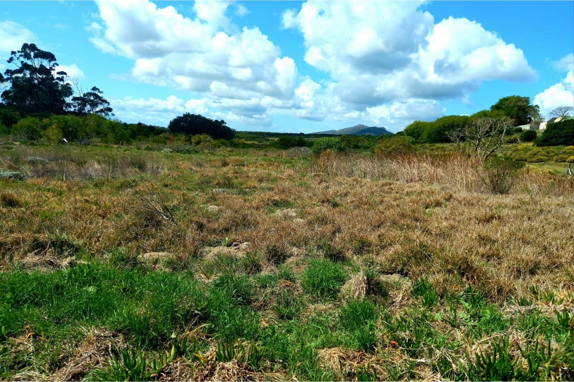 Reduced price , Spacious, well-positioned vacant stand with beautiful views in Albertinia