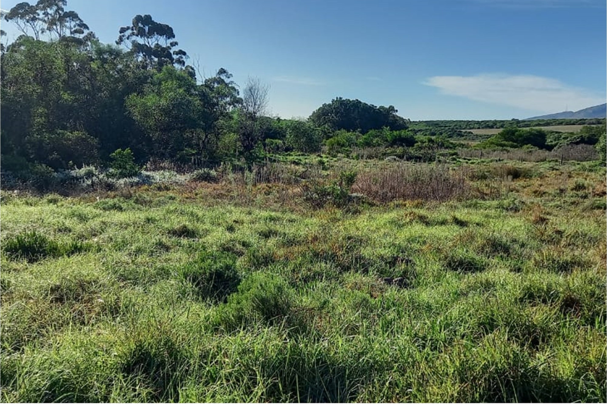Reduced price , Spacious, well-positioned vacant stand with beautiful views in Albertinia